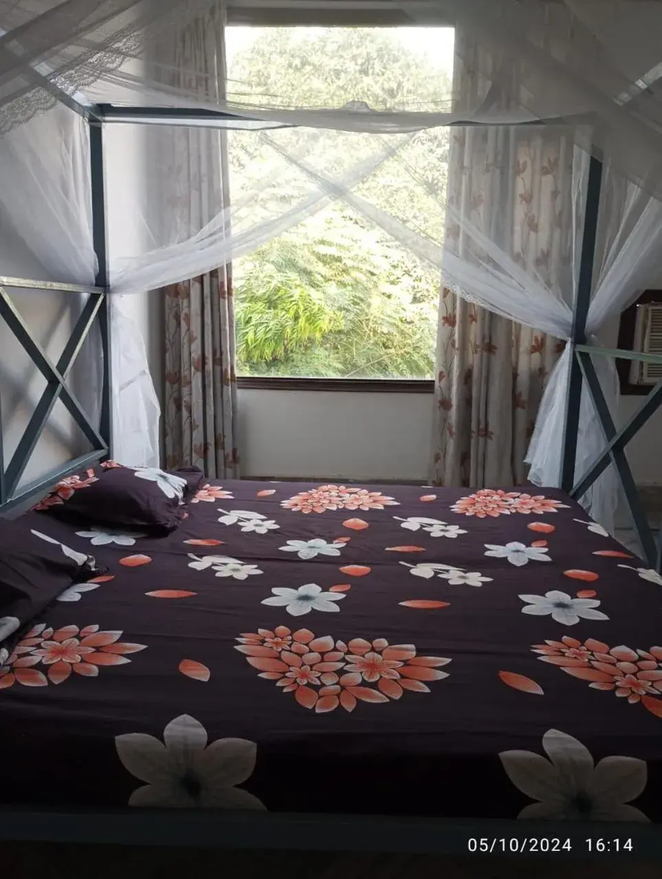 Bedroom, Bed in Backpackers Station Bedroom, Bed in Backpackers Station