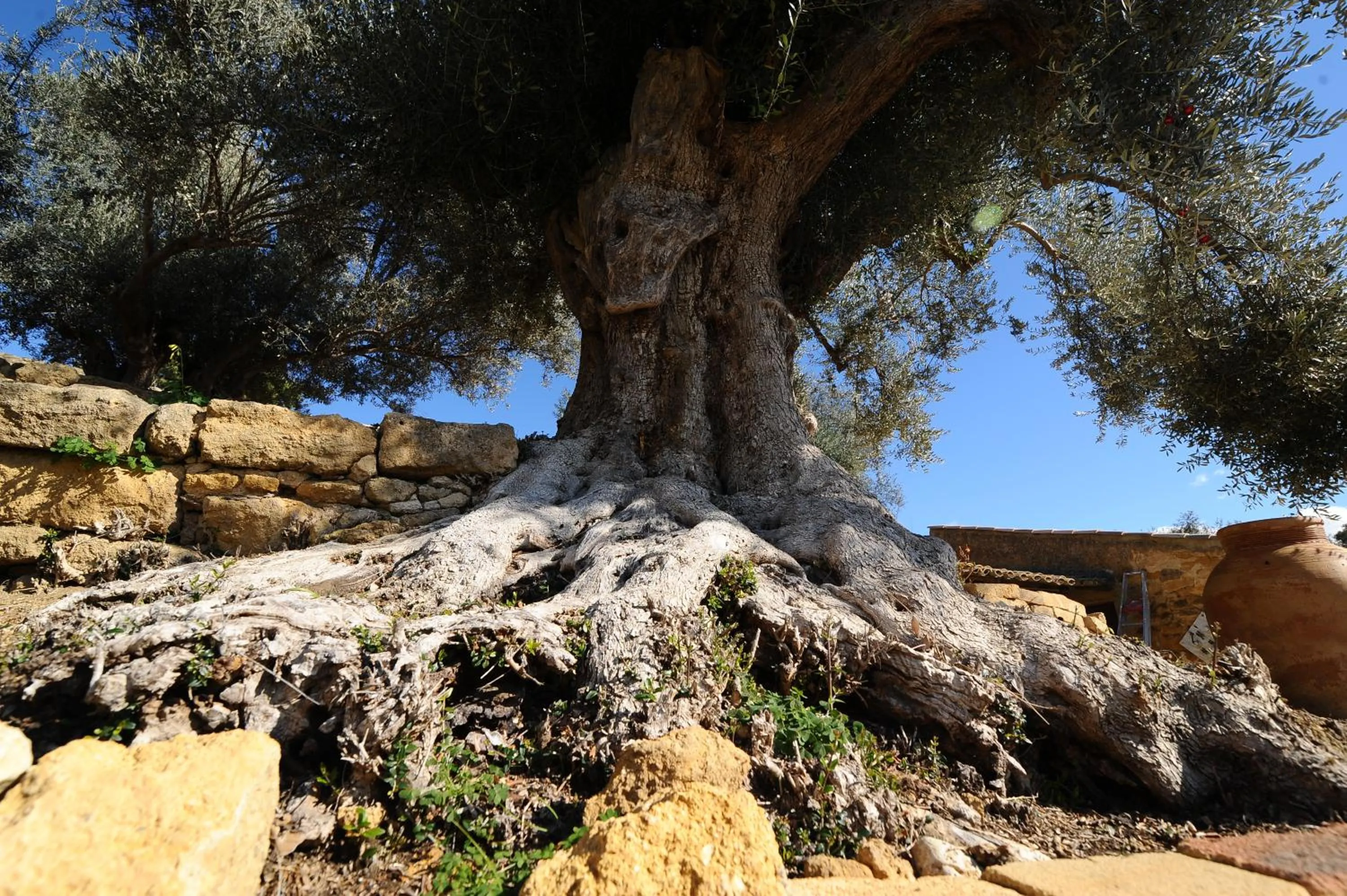 On site in Villa La Lumia B&B Suites & Apartments