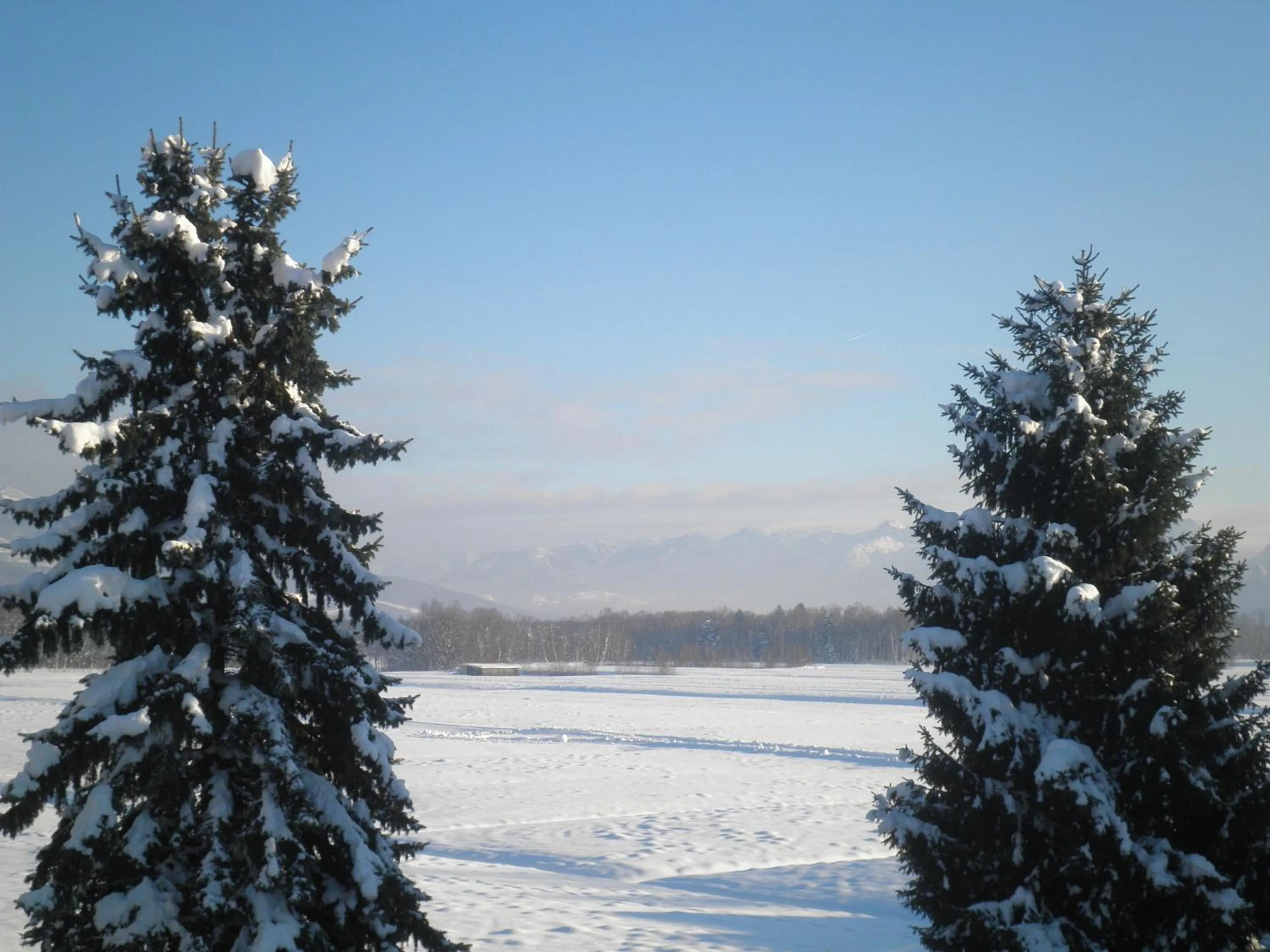 View (from property/room) in Pension Ballwein
