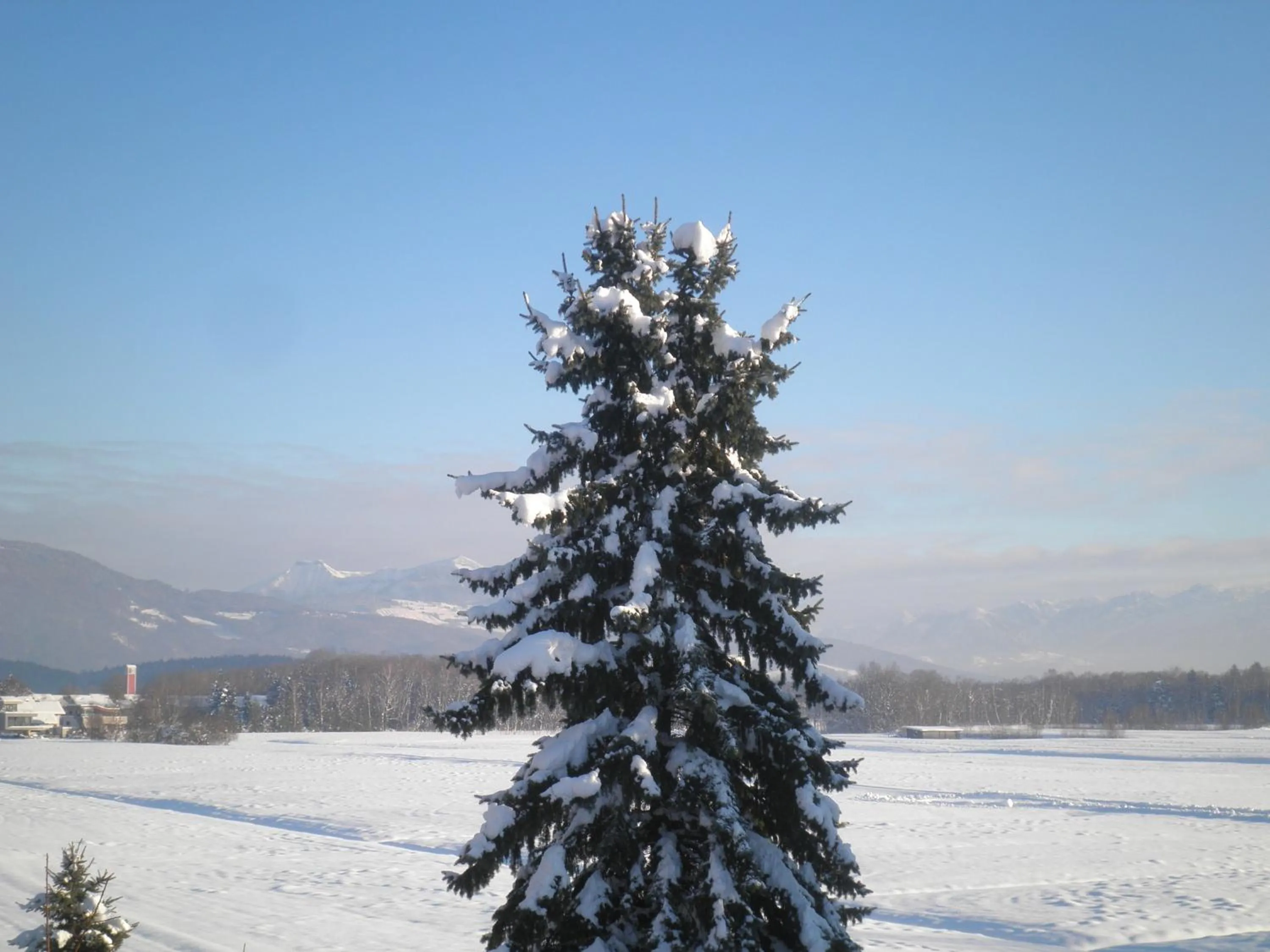 Mountain view in Pension Ballwein