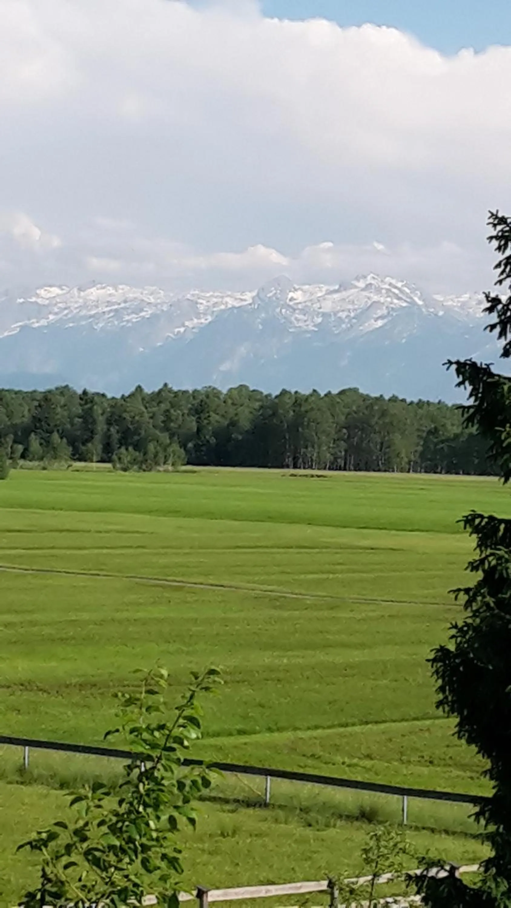 View (from property/room) in Pension Ballwein