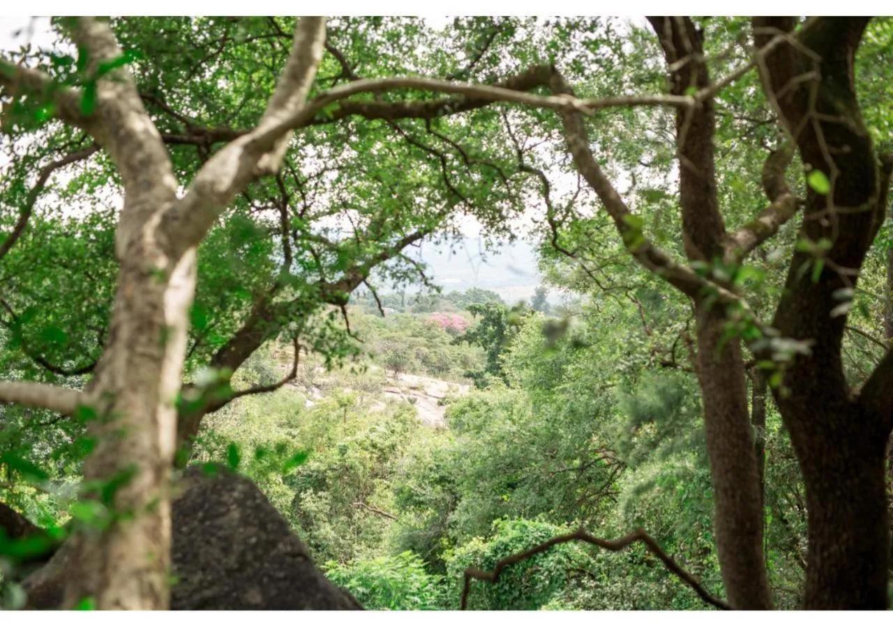 Natural landscape in Sheppard Boutique Hotel