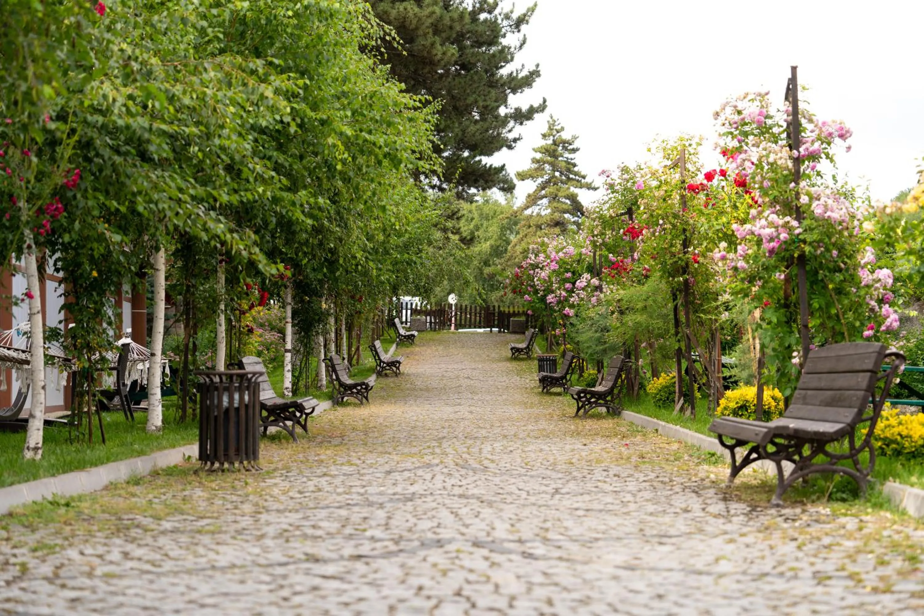 Garden in Cam Thermal Resort Hotel & Spa
