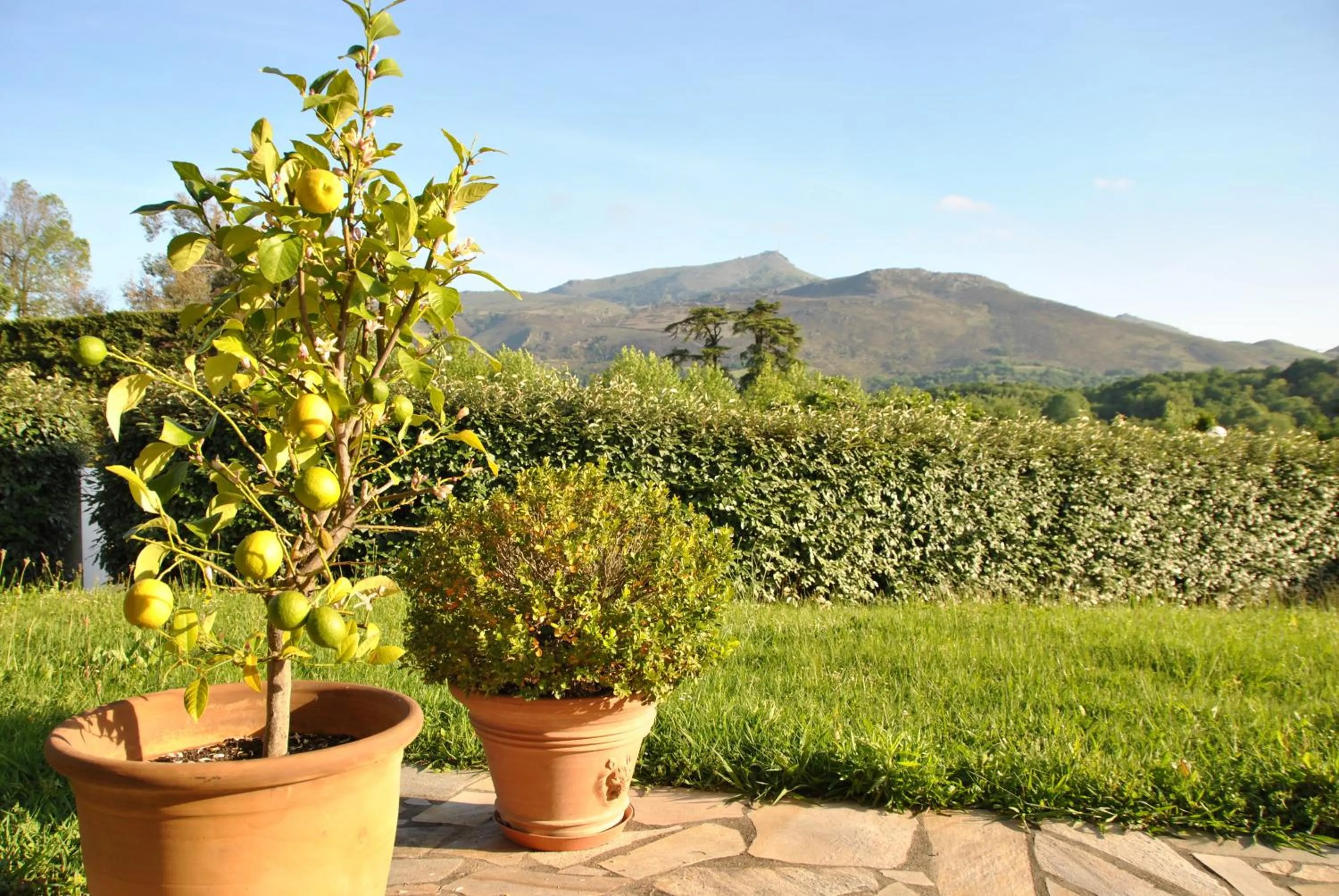 Maison d'hôtes Urbegia