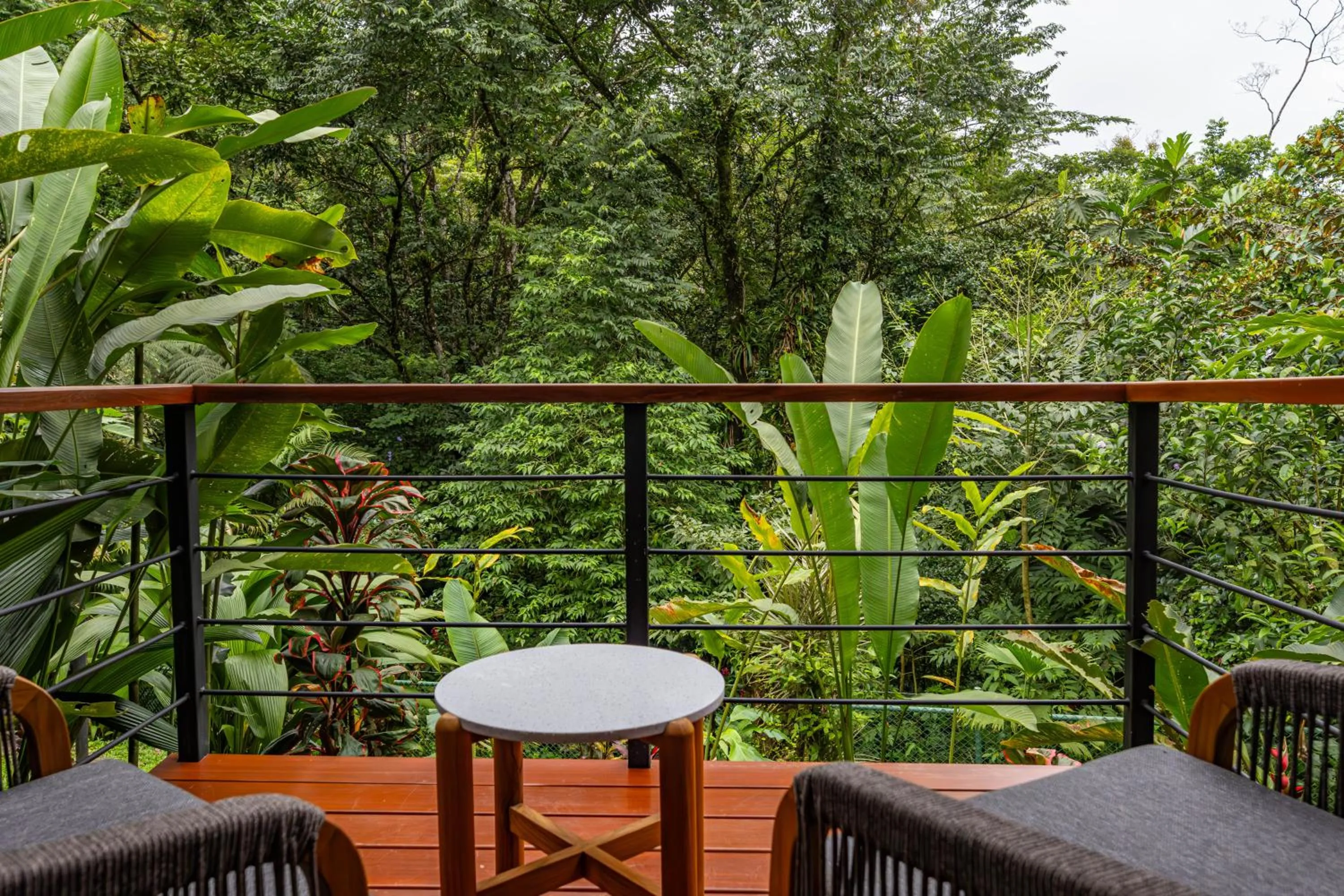 Balcony/Terrace in Tifakara Boutique Hotel & Birding Oasis