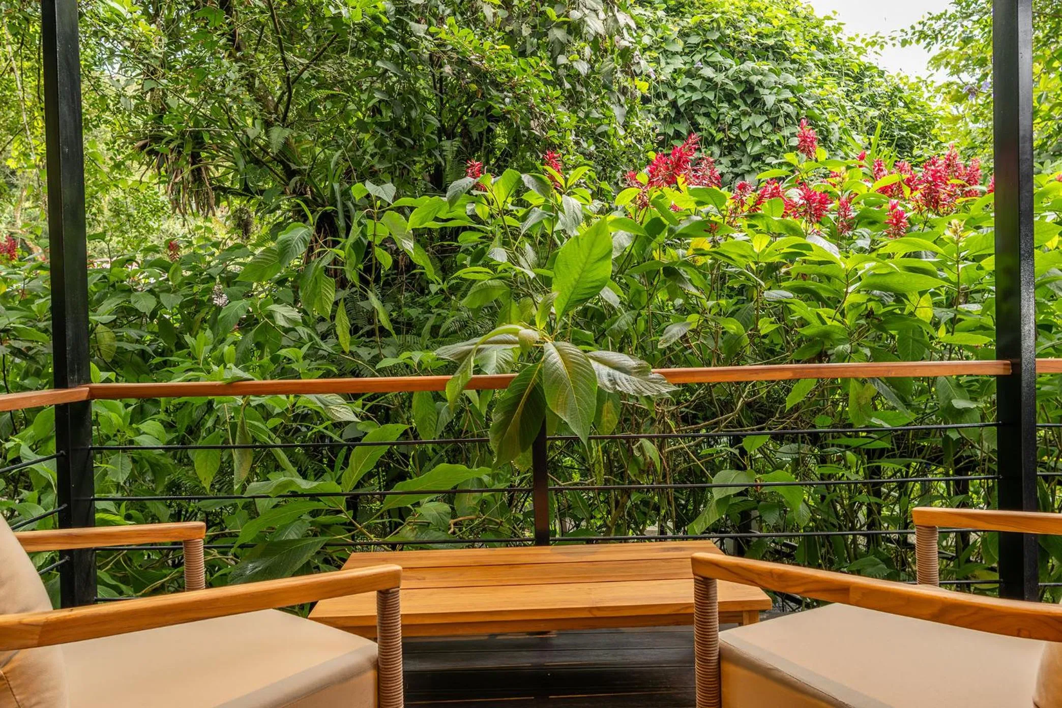 Balcony/Terrace in Tifakara Boutique Hotel & Birding Oasis