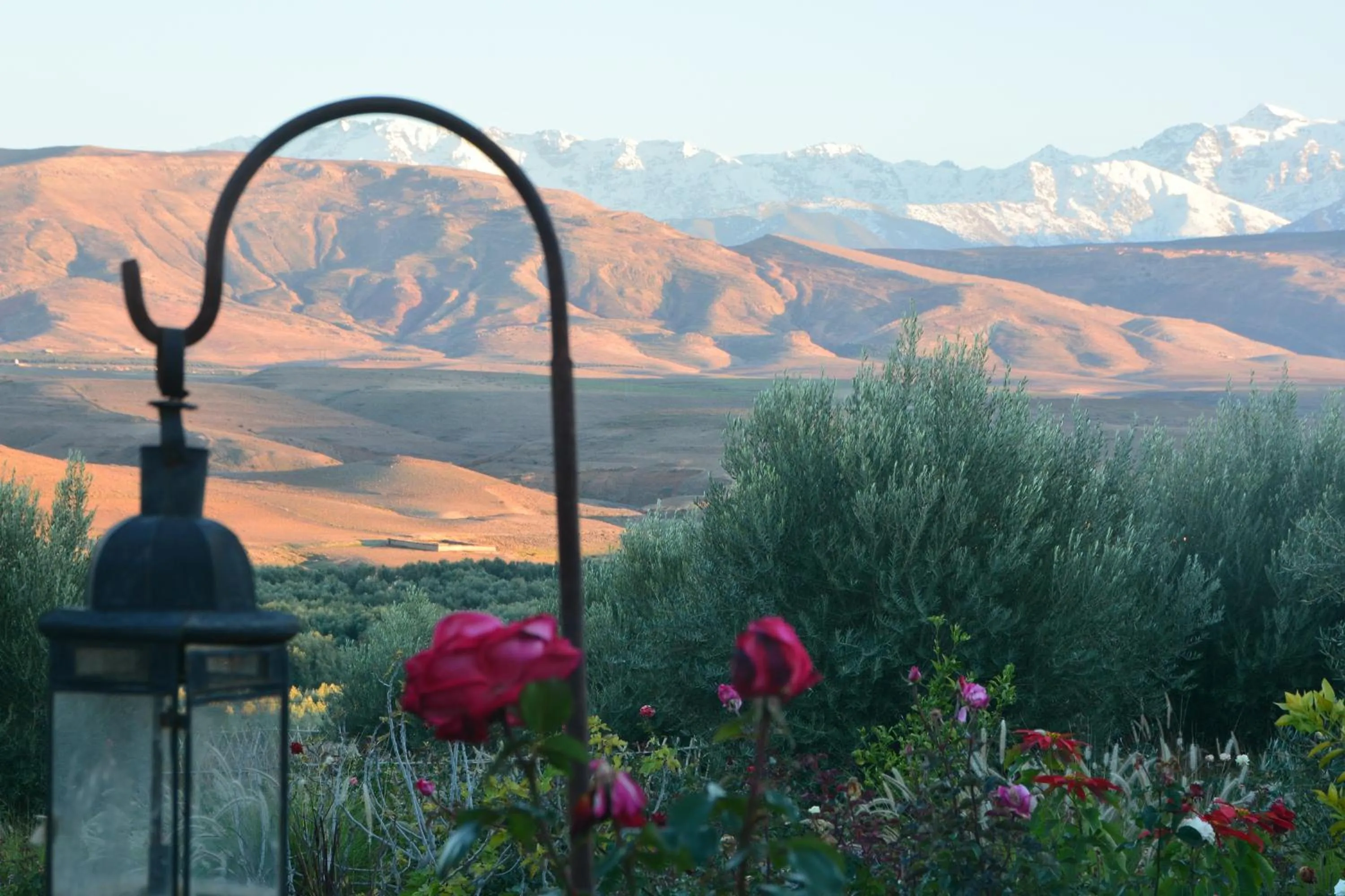 View (from property/room) in Kasbah Beldi