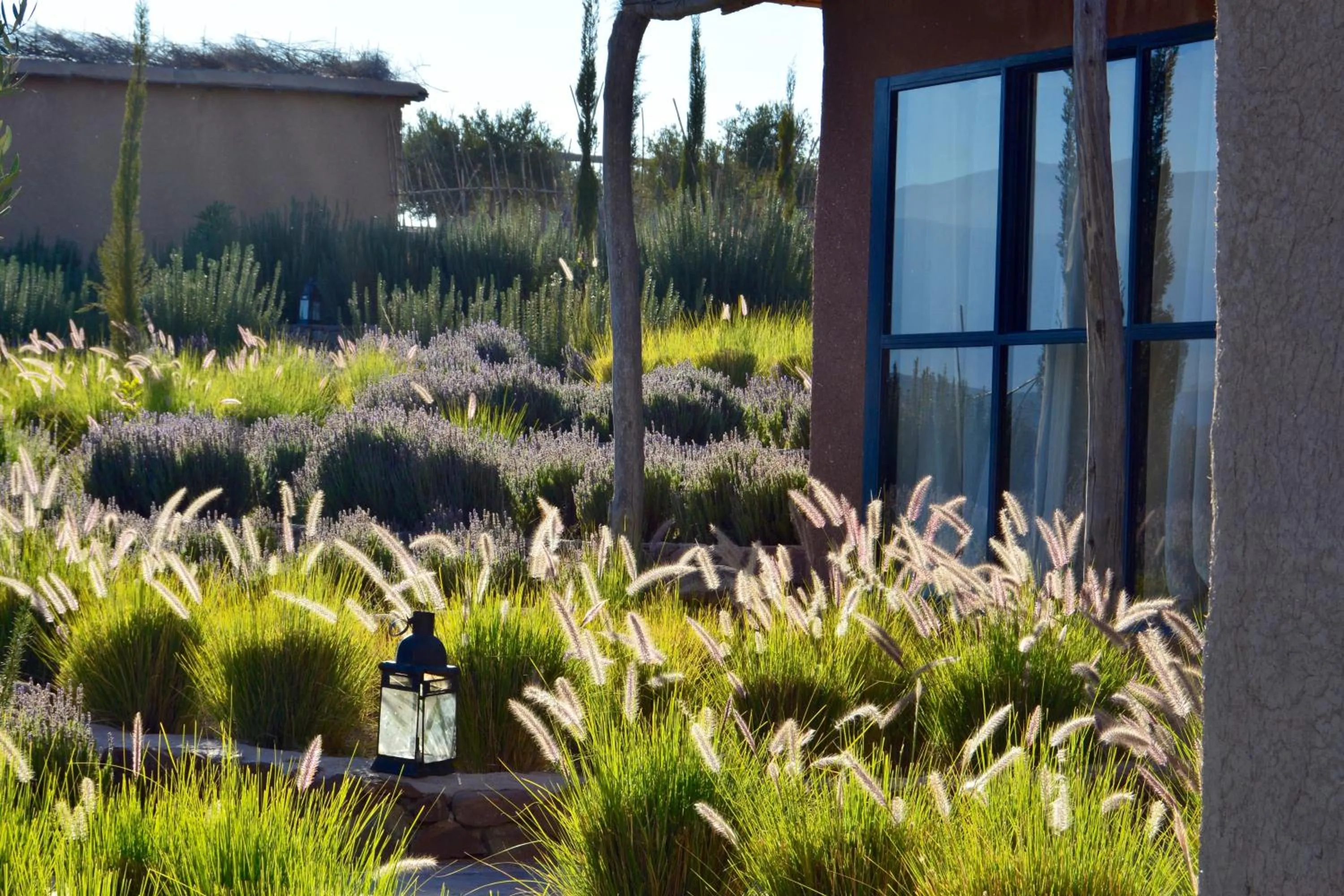 Garden in Kasbah Beldi