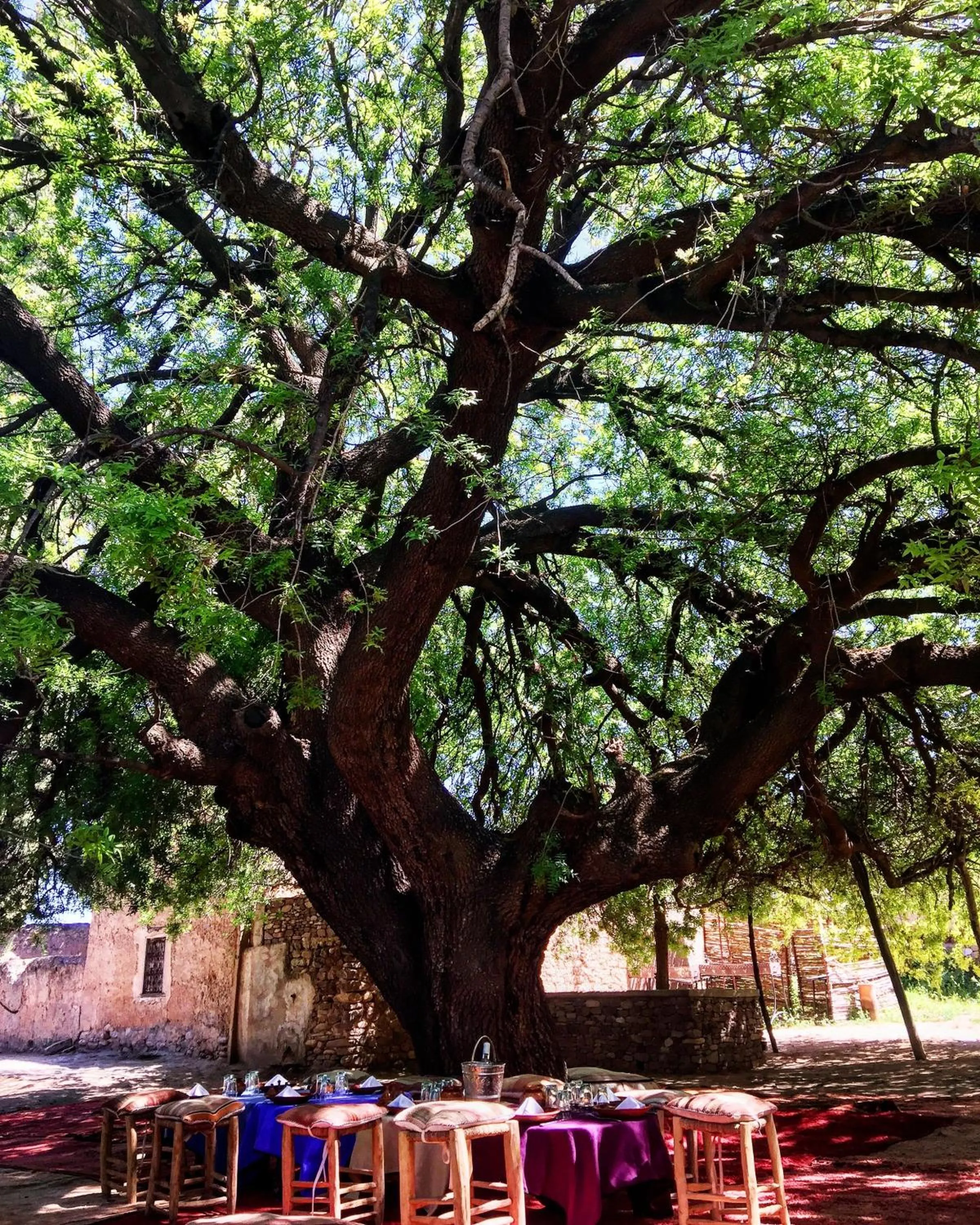 Property building in Kasbah Beldi