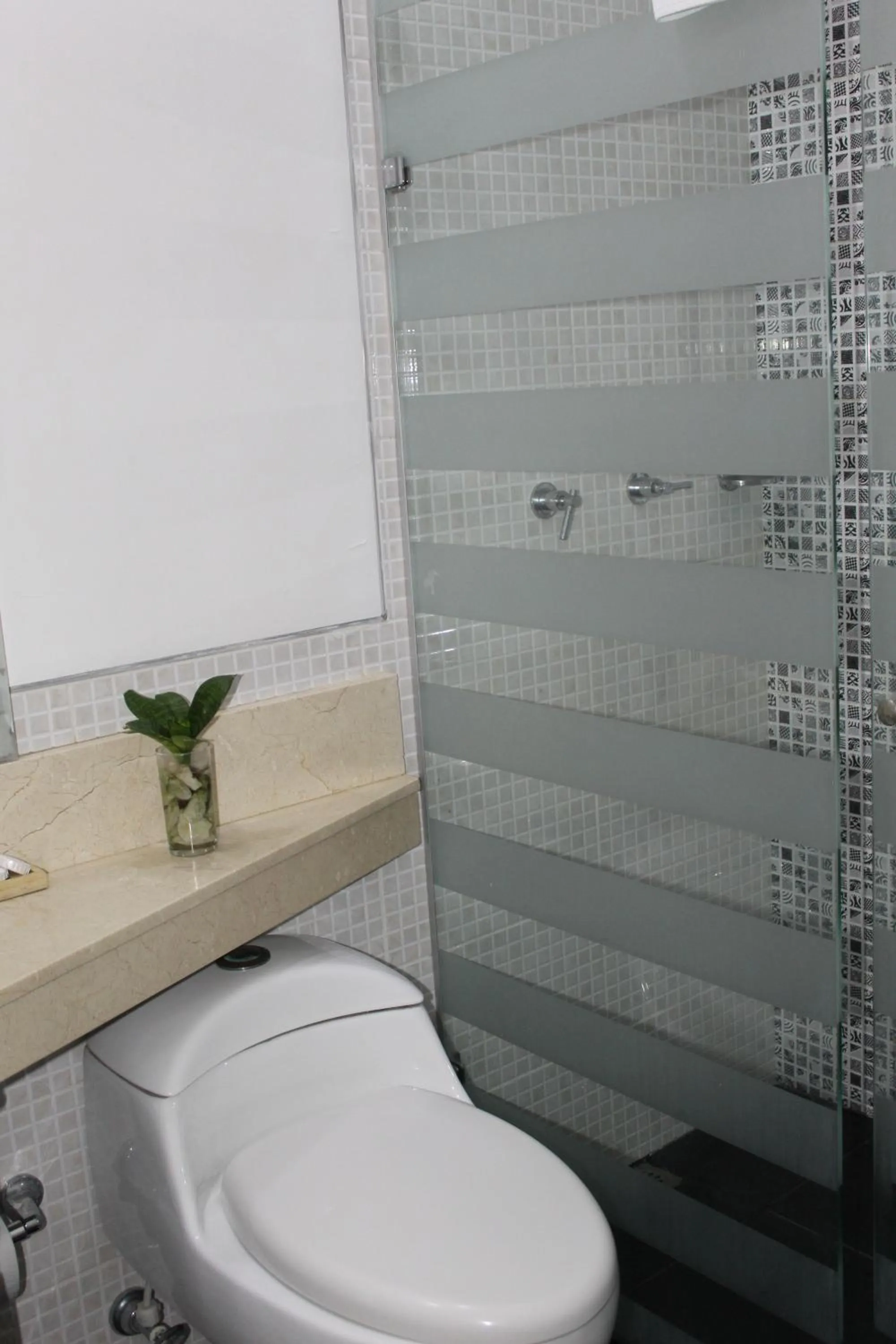 Toilet in Hotel Merlott Lleras