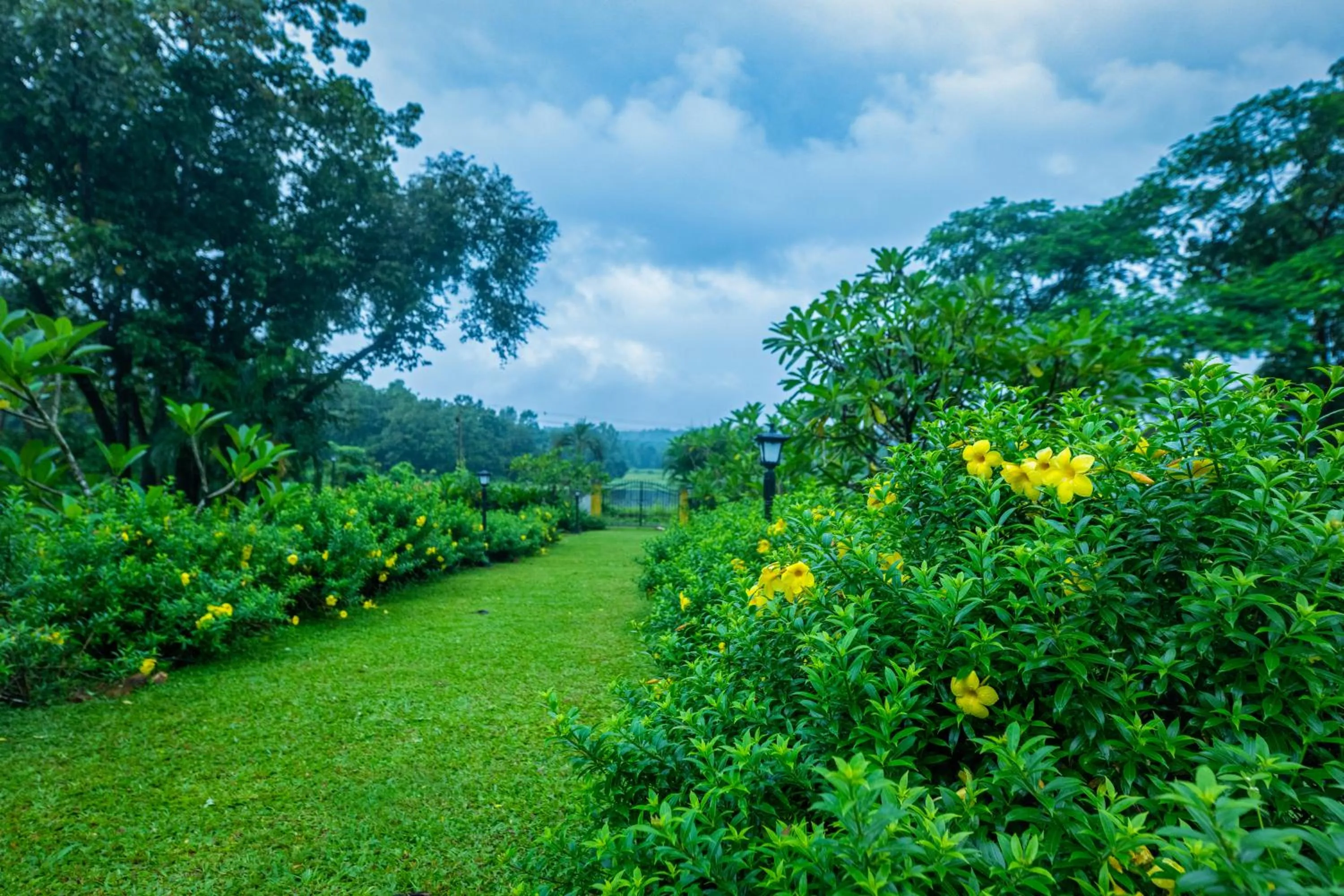 Natural landscape in Mansao Curtorim - A CGH Earth SAHA Experience