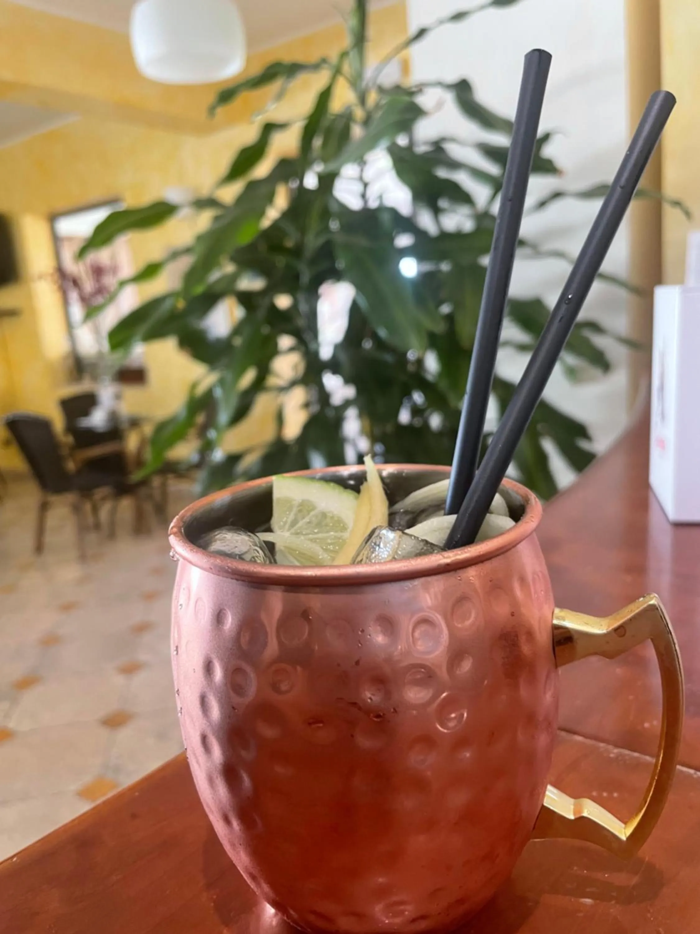 Lounge or bar in Hotel Bougainville