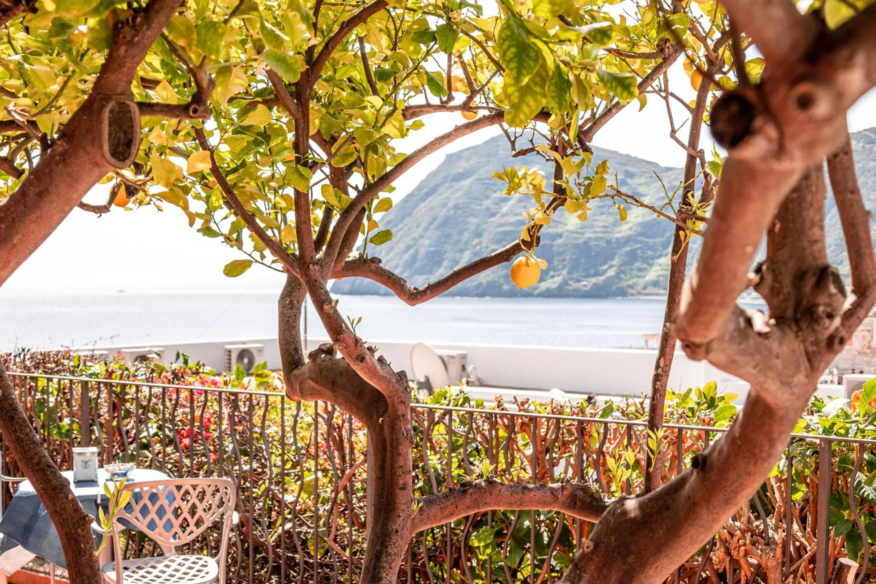 Garden in Hotel Residence La Villetta