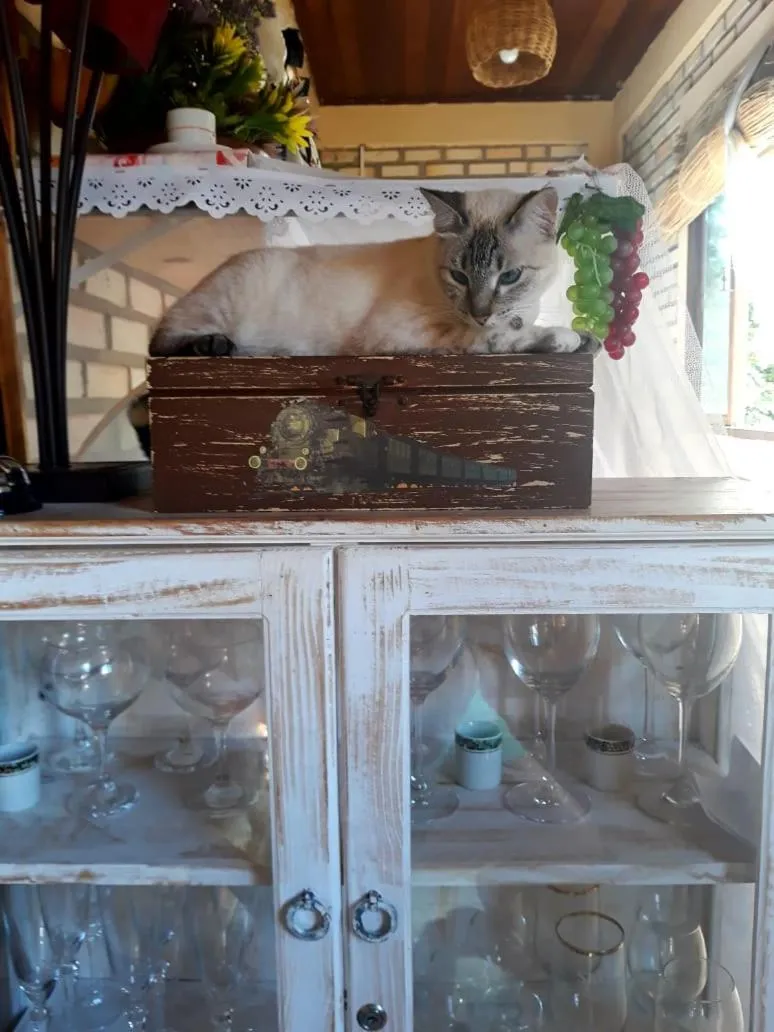 Other in Pousada Mar e Sol