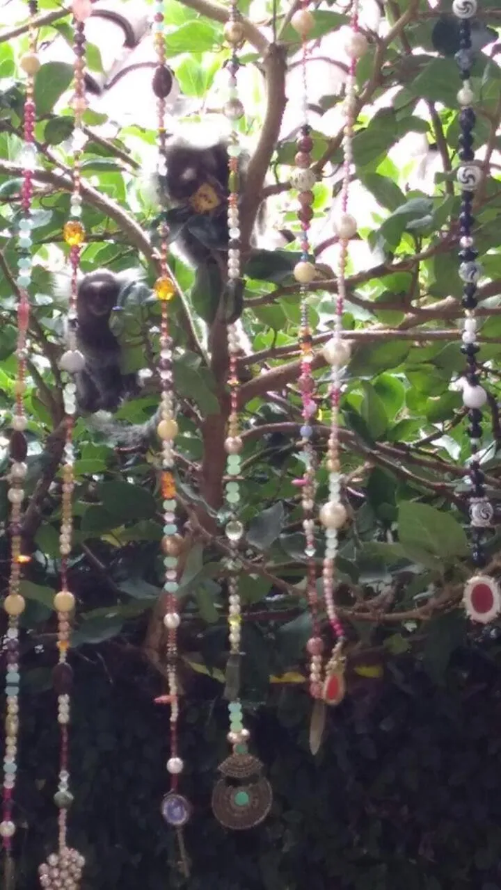 Garden in Pousada Mar e Sol