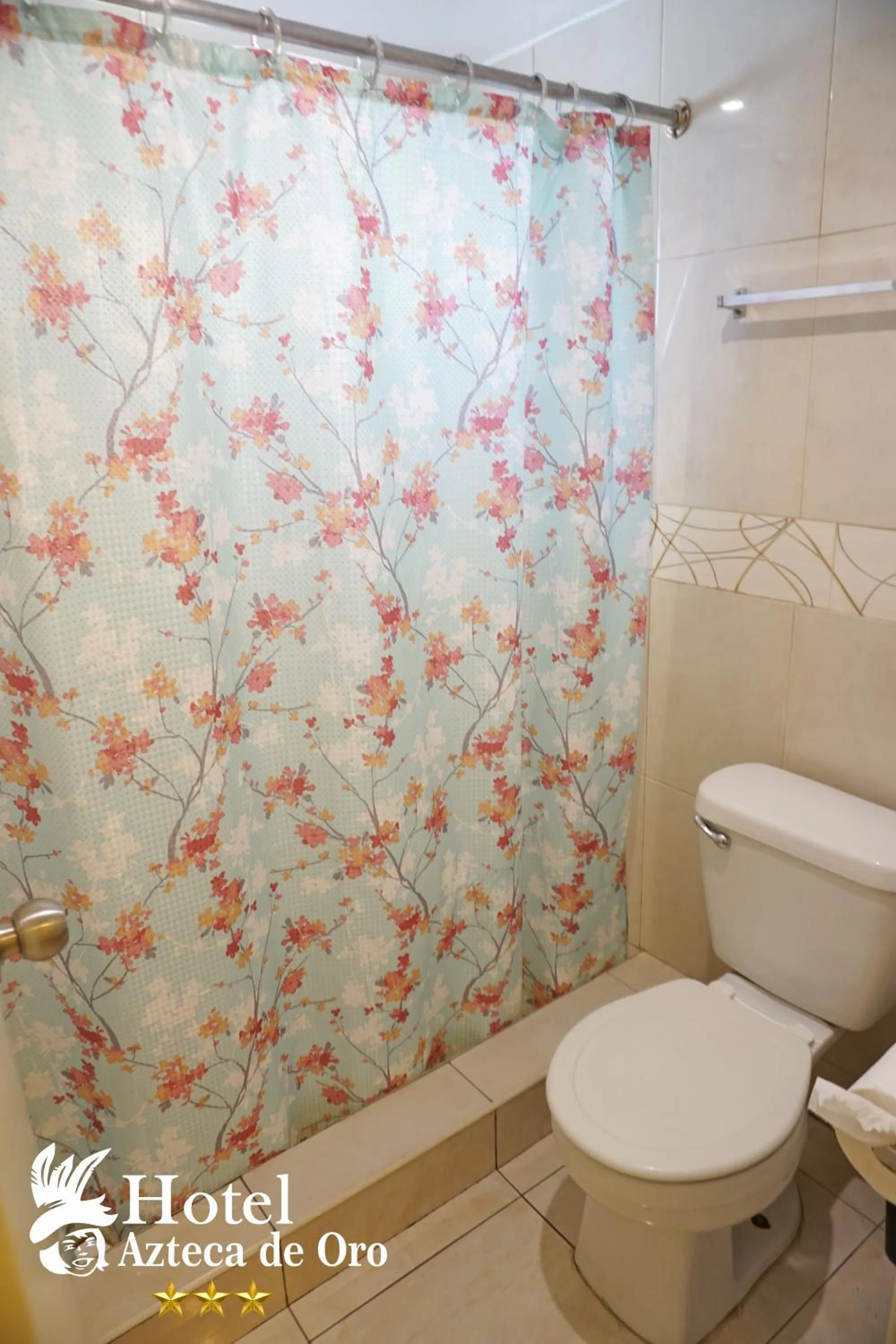 Bathroom in Hotel Azteca de Oro Mexicali