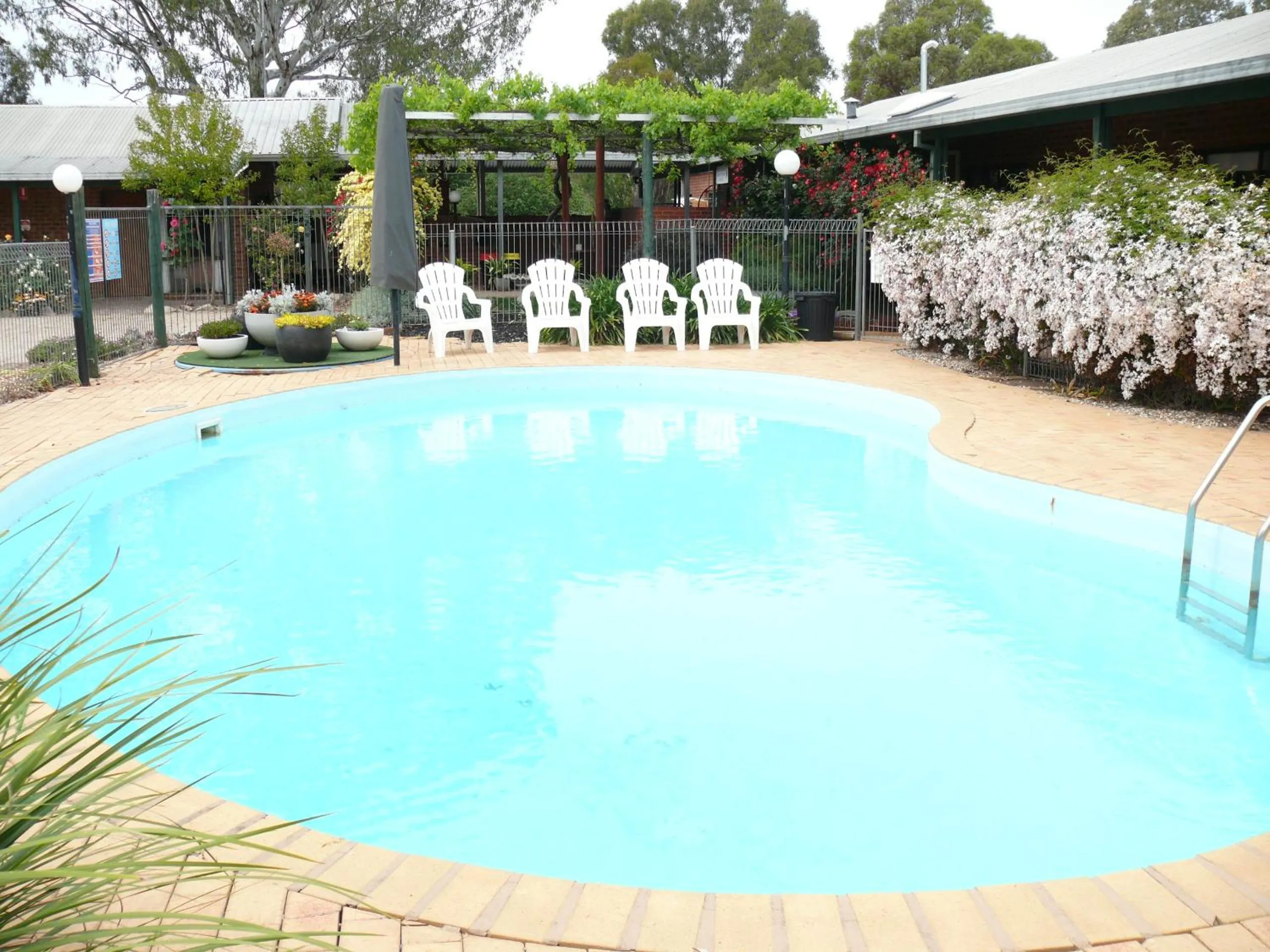 Swimming pool in Milawa Motel