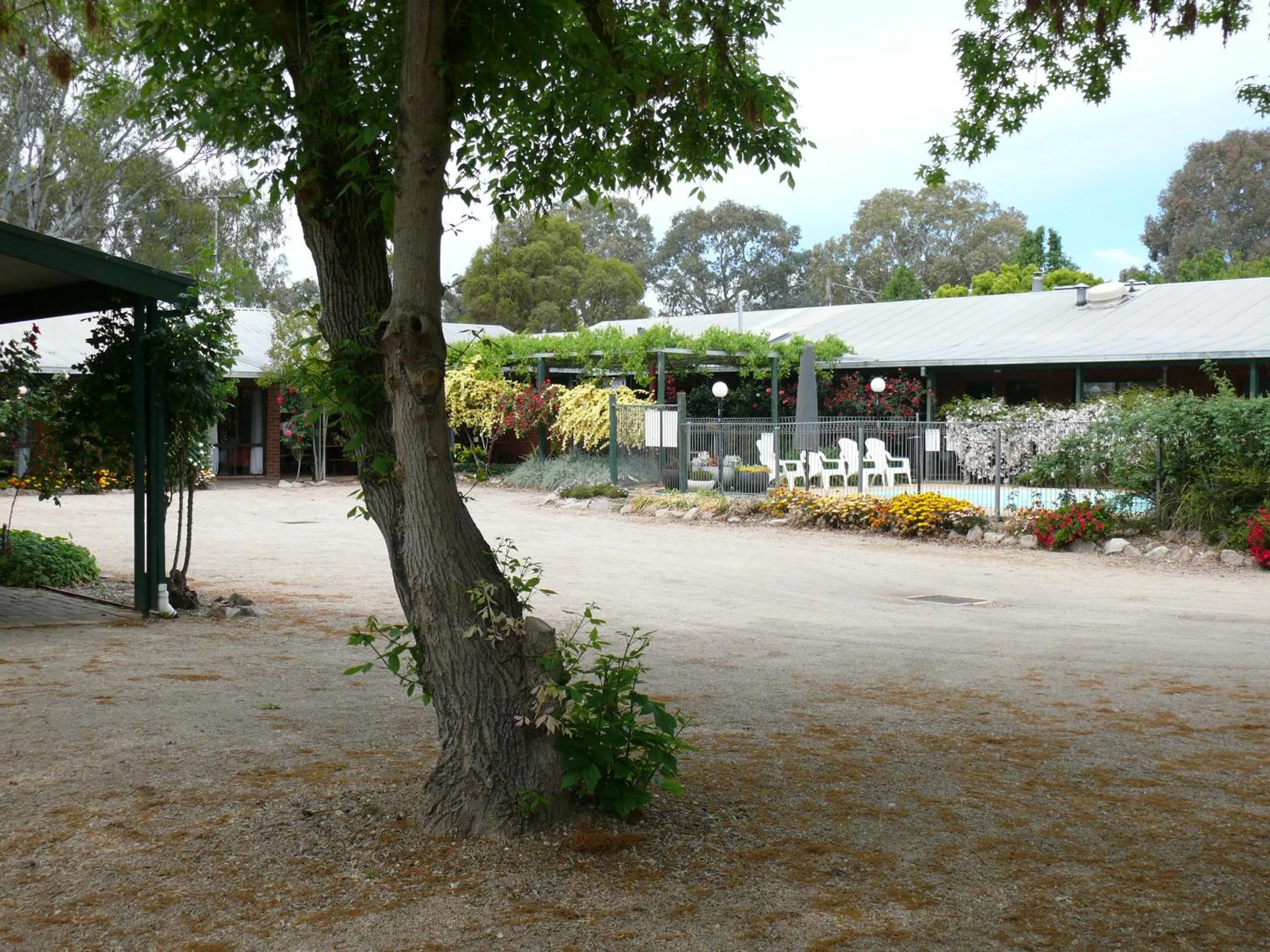 Garden view in Milawa Motel