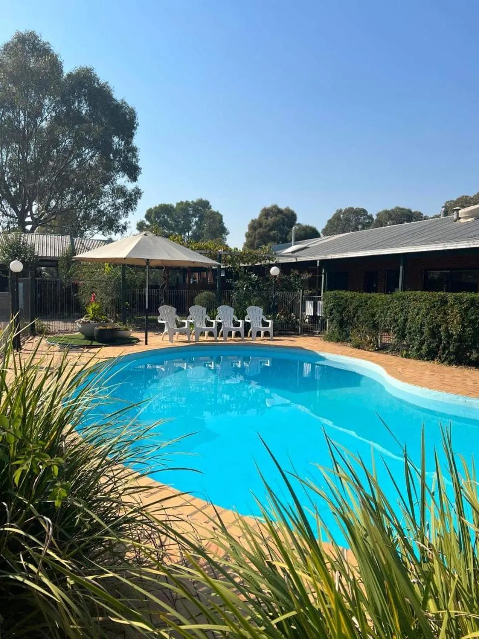 Swimming pool in Milawa Motel