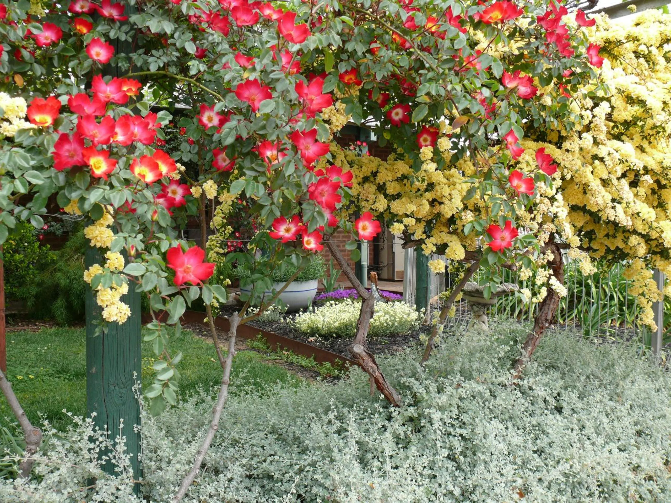 Natural landscape in Milawa Motel