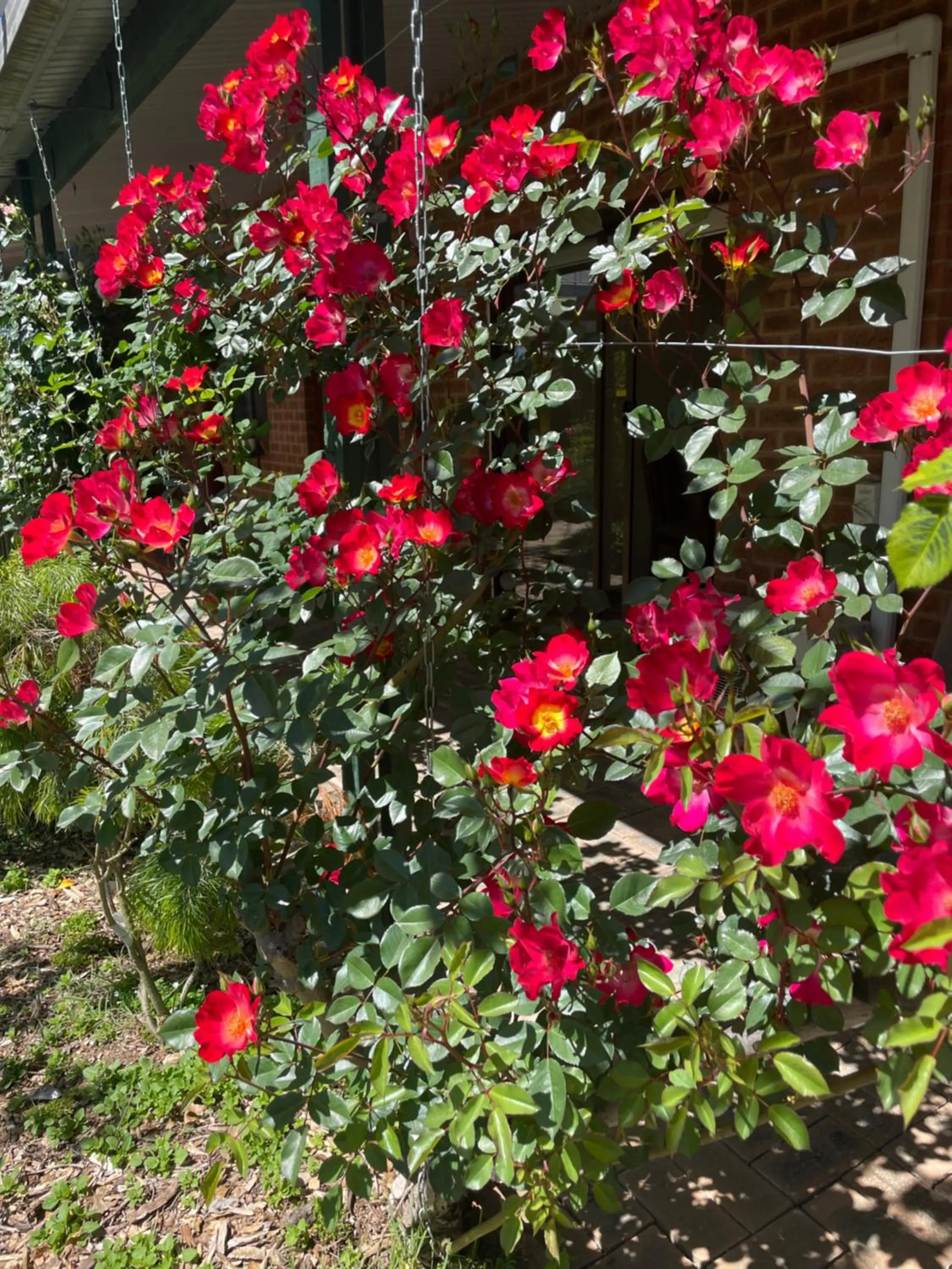 Property building in Milawa Motel