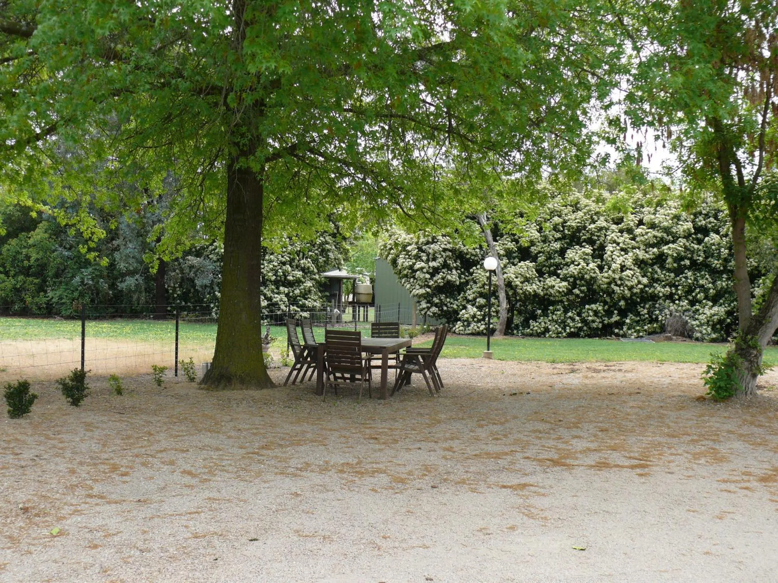 Garden in Milawa Motel