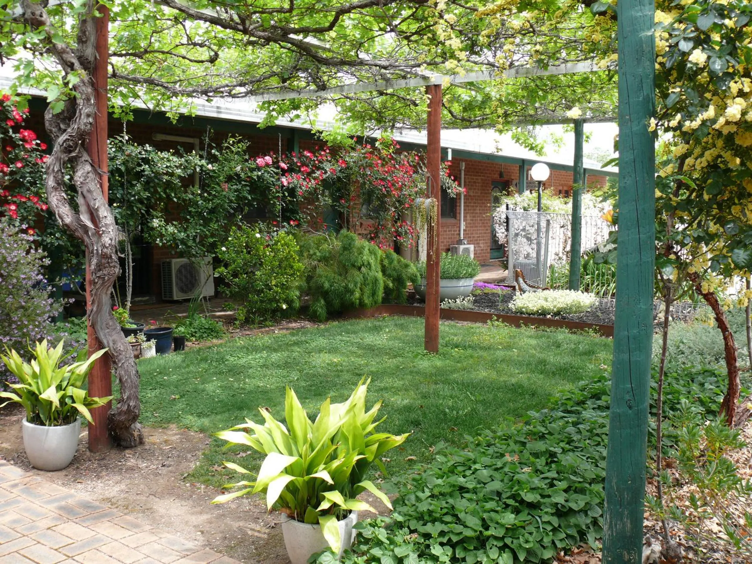 Garden in Milawa Motel
