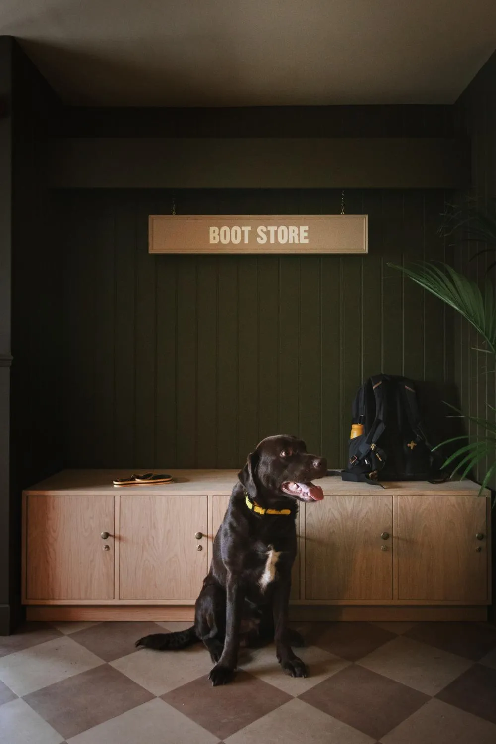 pet friendly in The Hide