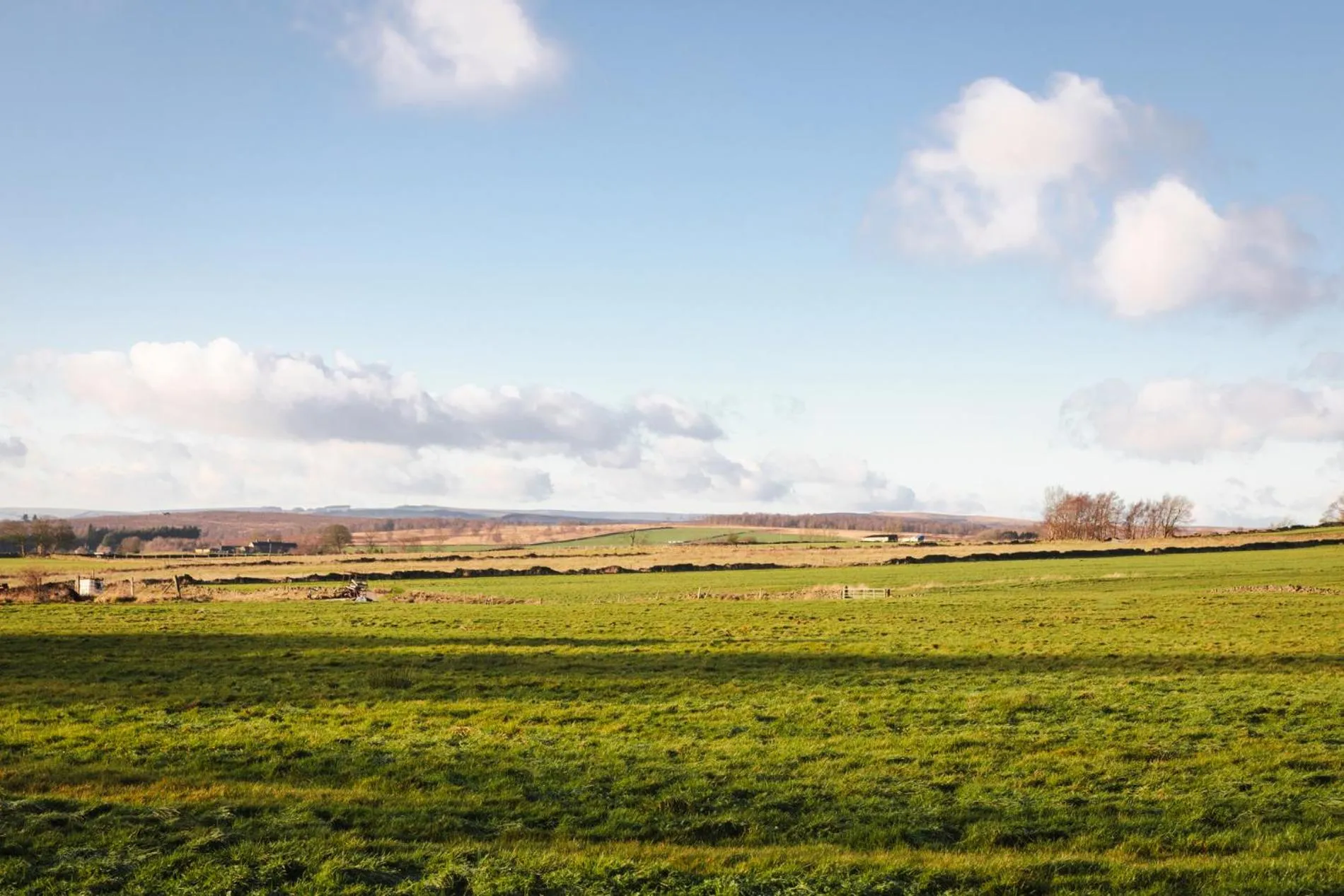 Natural landscape in The Hide
