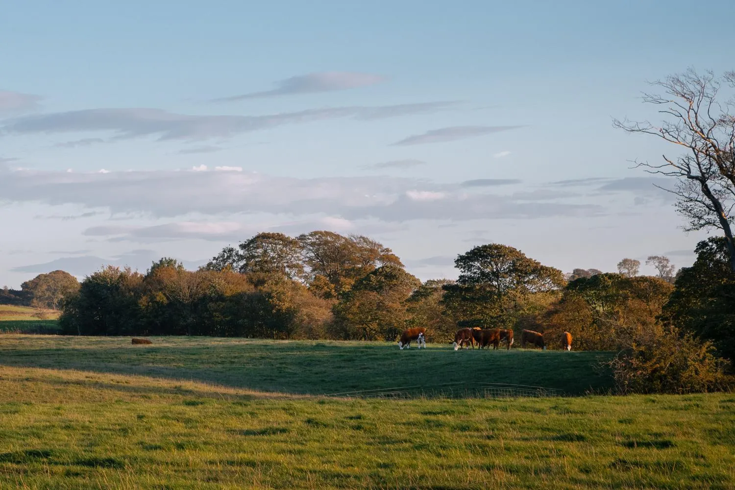 View (from property/room) in The Hide