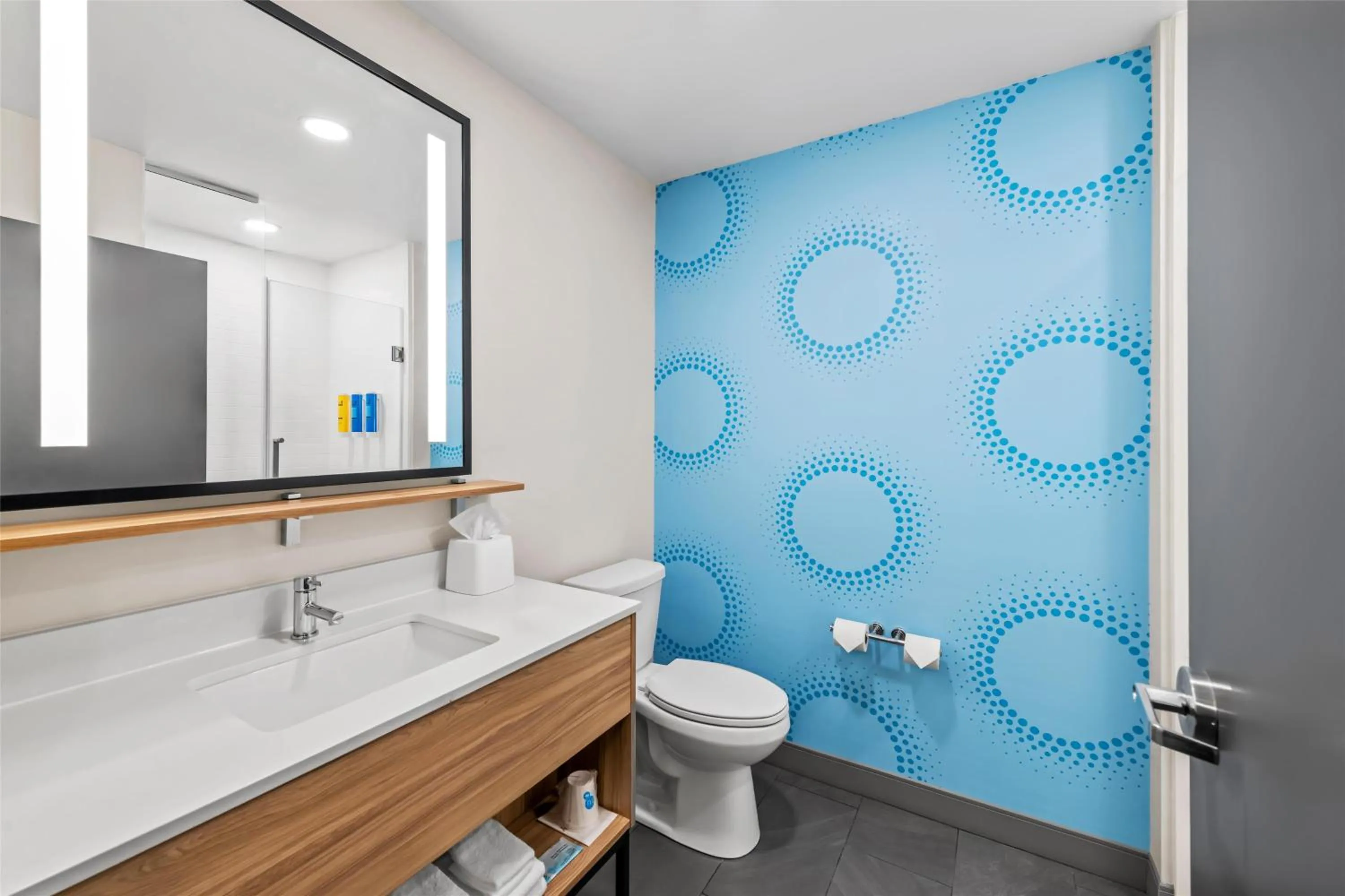 Bathroom in Tru By Hilton Kansas City Airport