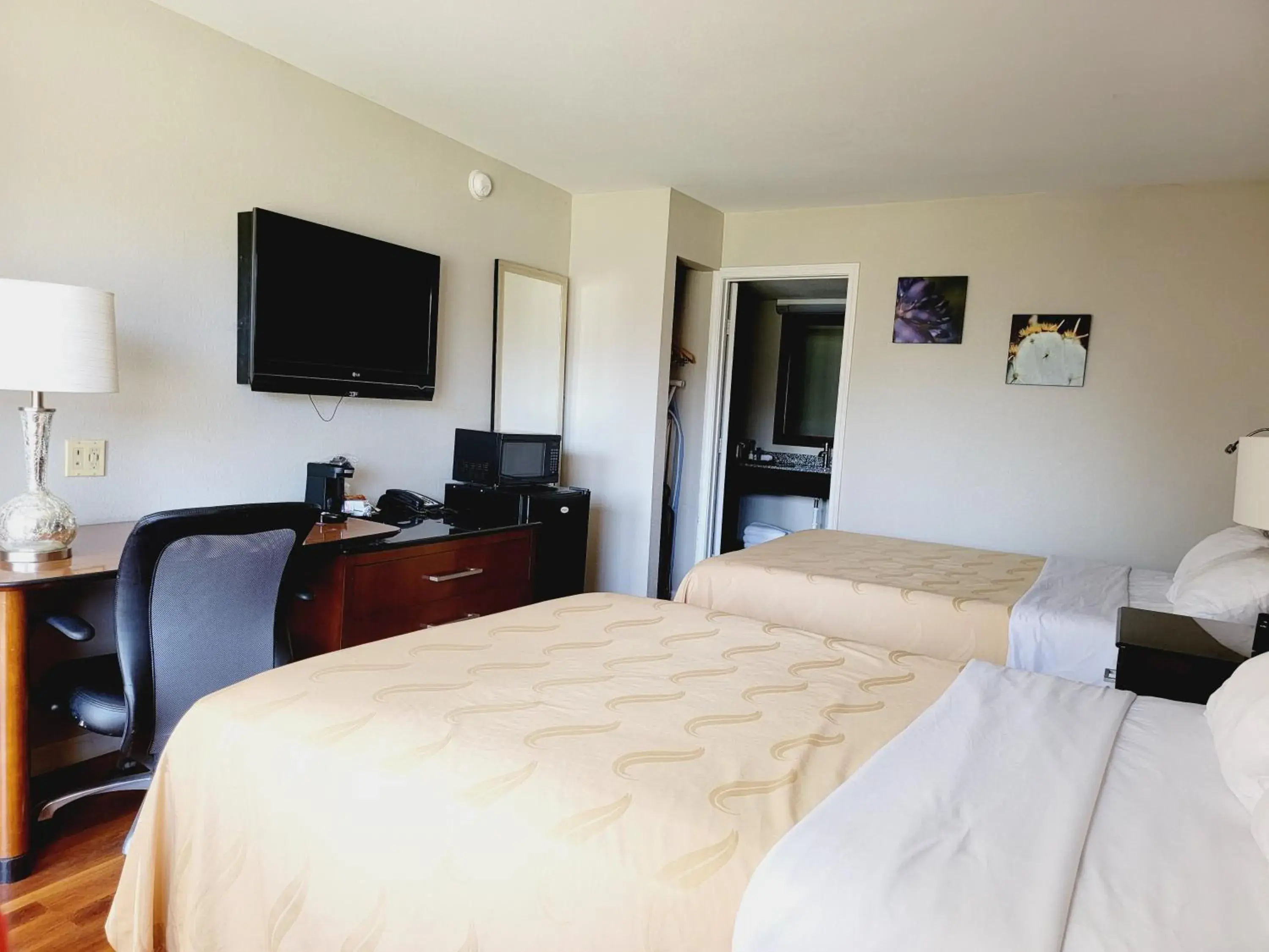 TV and multimedia, Bed in Cambridge Inn TV and multimedia, Bed in Cambridge Inn