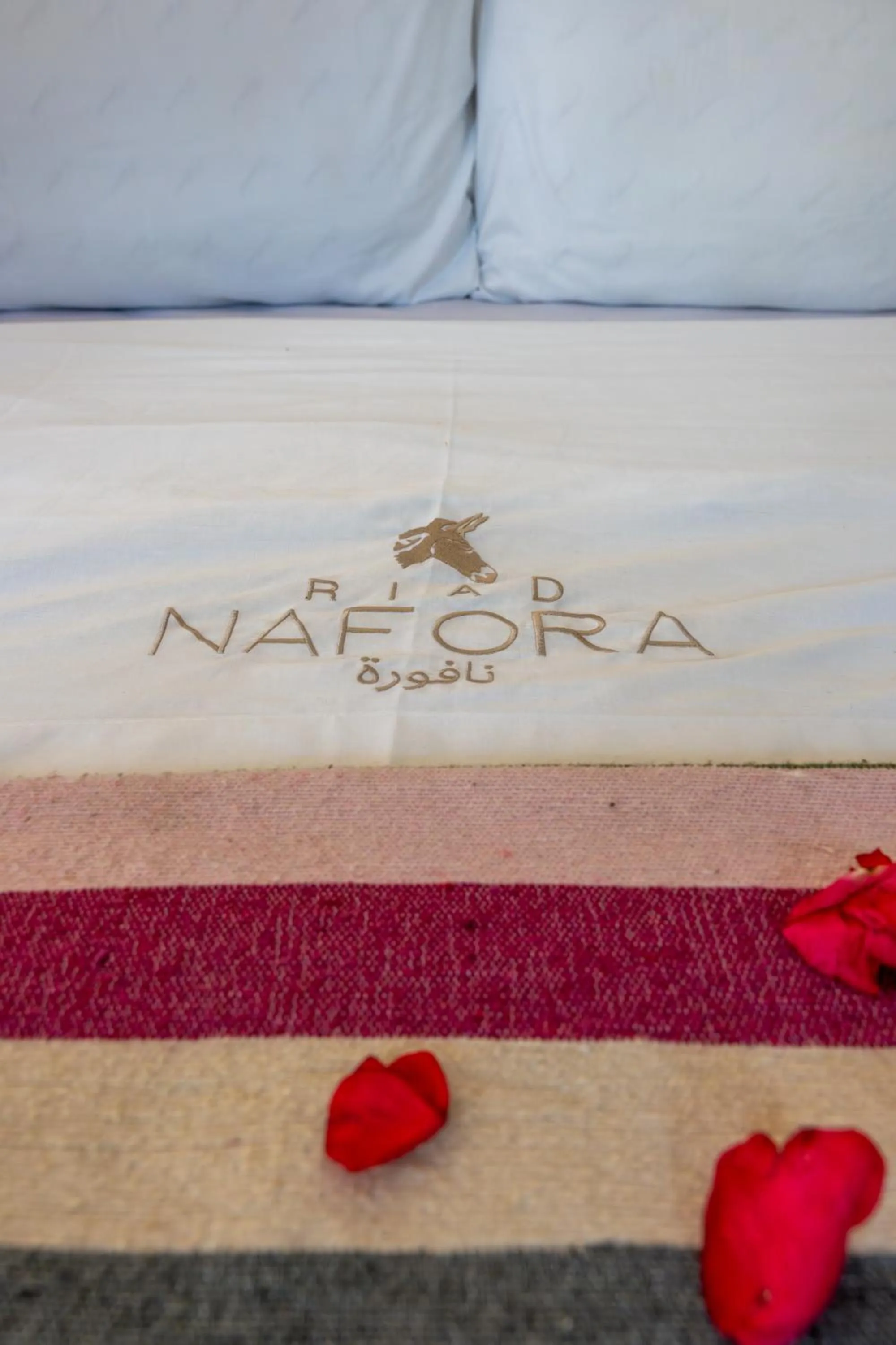 Decorative detail in Riad Nafora