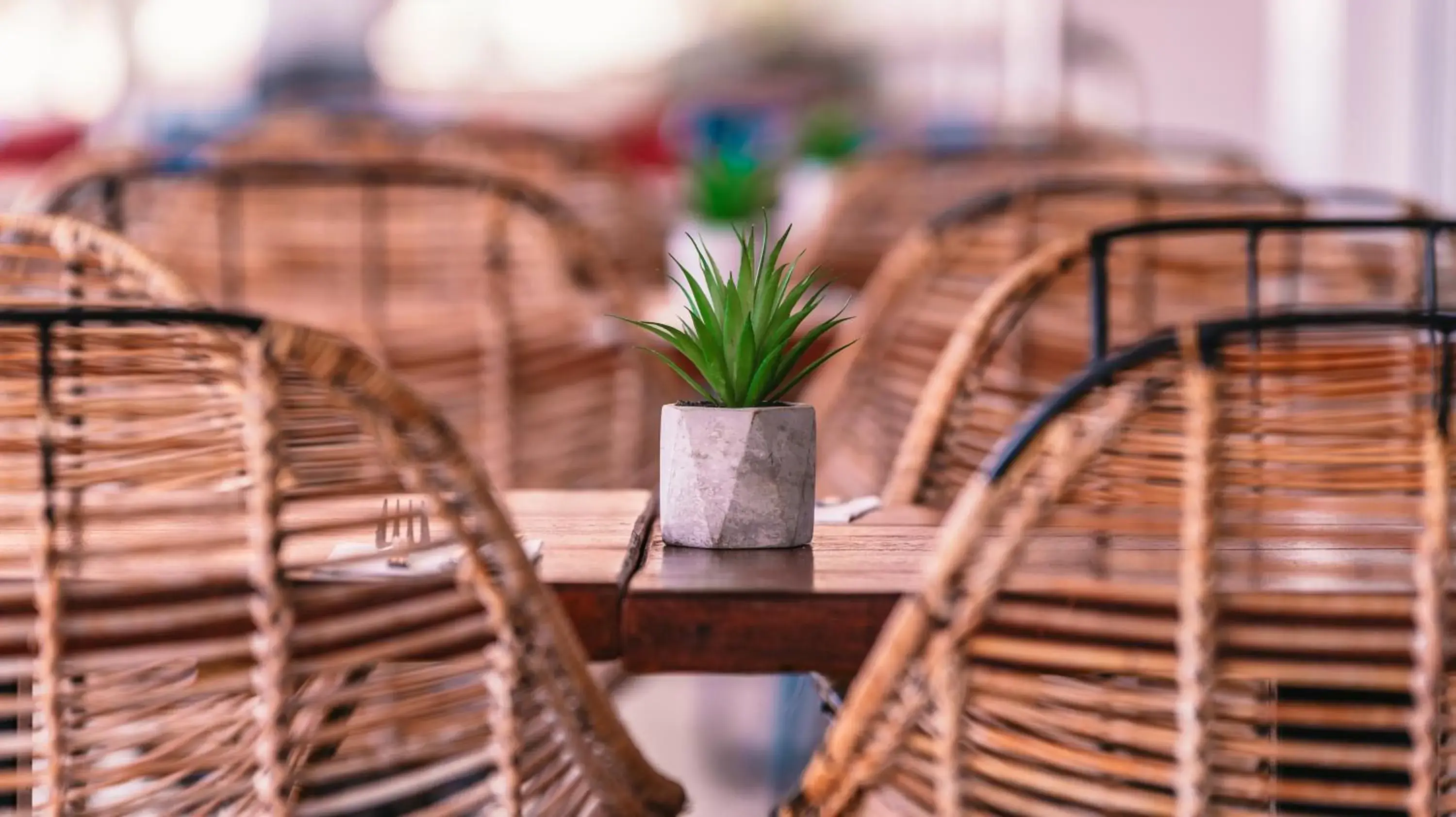 Restaurant/places to eat in Labranda Alyssa Suite Hotel Restaurant/places to eat in Labranda Alyssa Suite Hotel