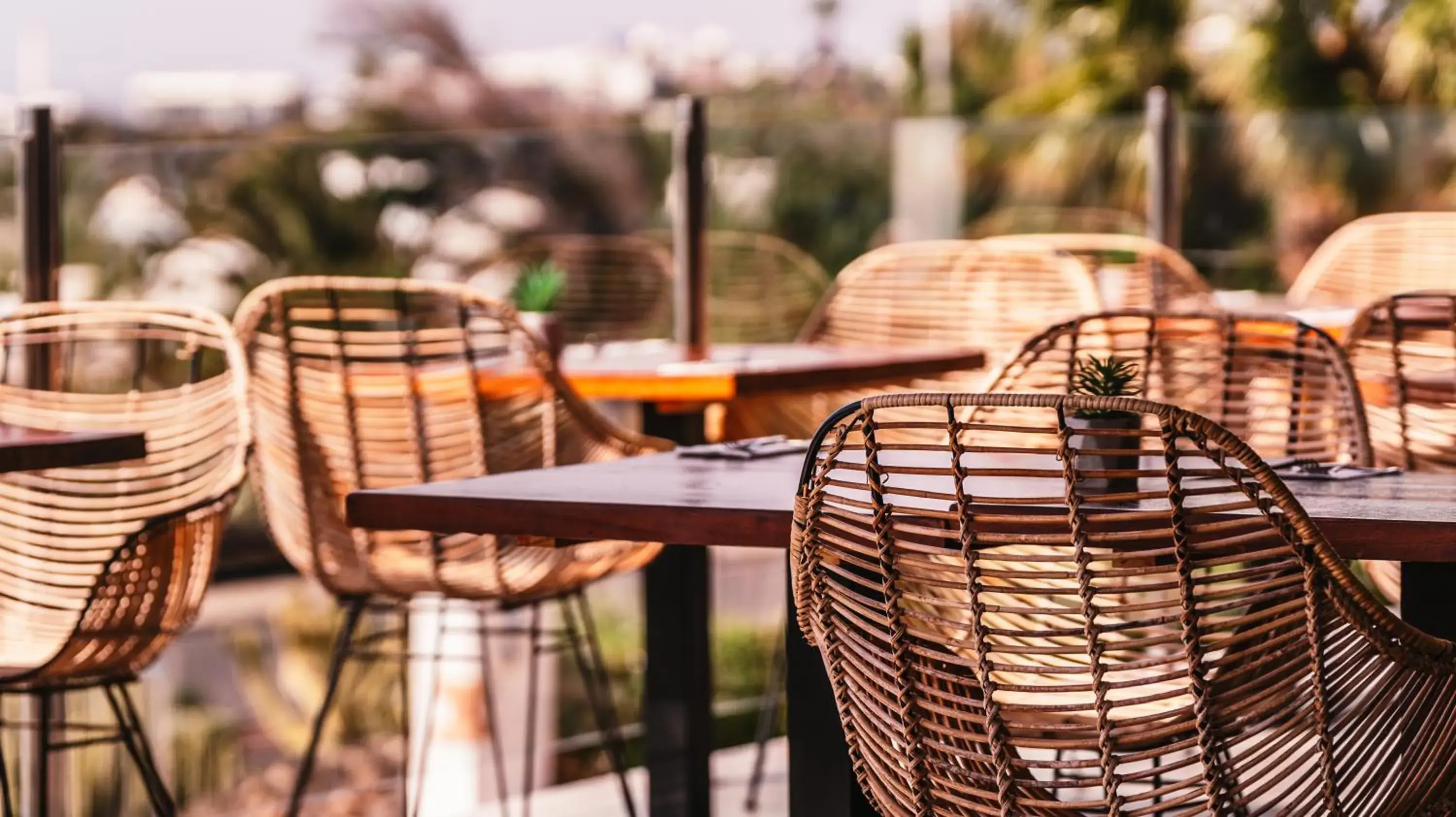 Restaurant/places to eat in Labranda Alyssa Suite Hotel Restaurant/places to eat in Labranda Alyssa Suite Hotel