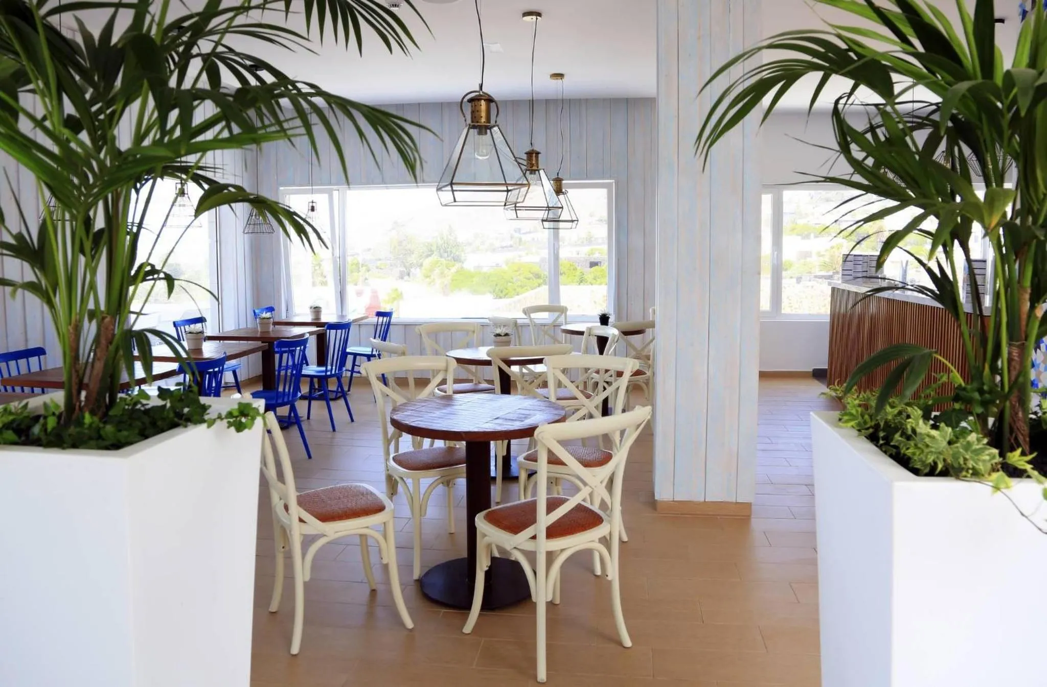 Restaurant/places to eat in BLUESEA Alyssa Suite Hotel