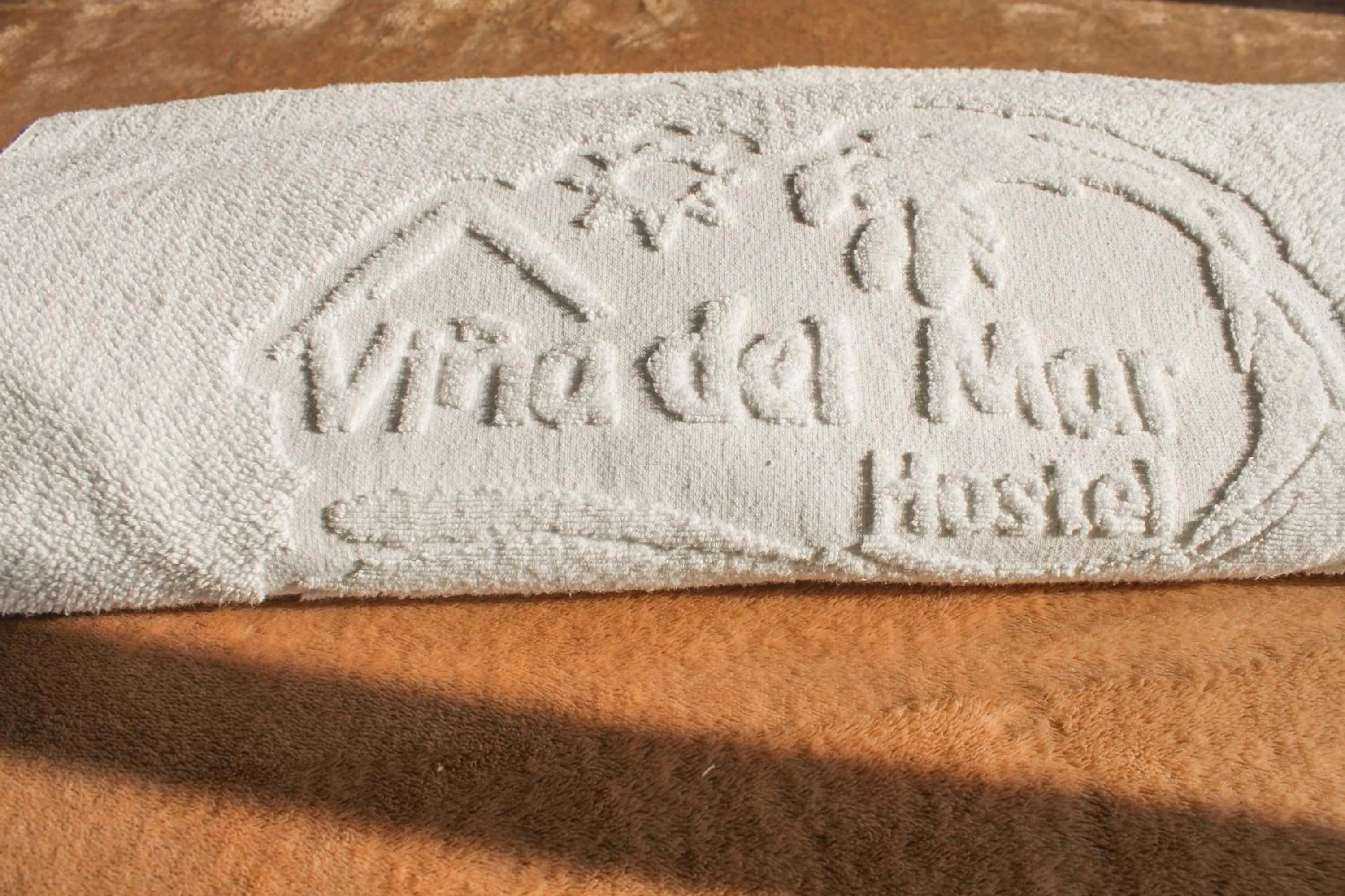 Property logo or sign in Hostal Viña del Mar