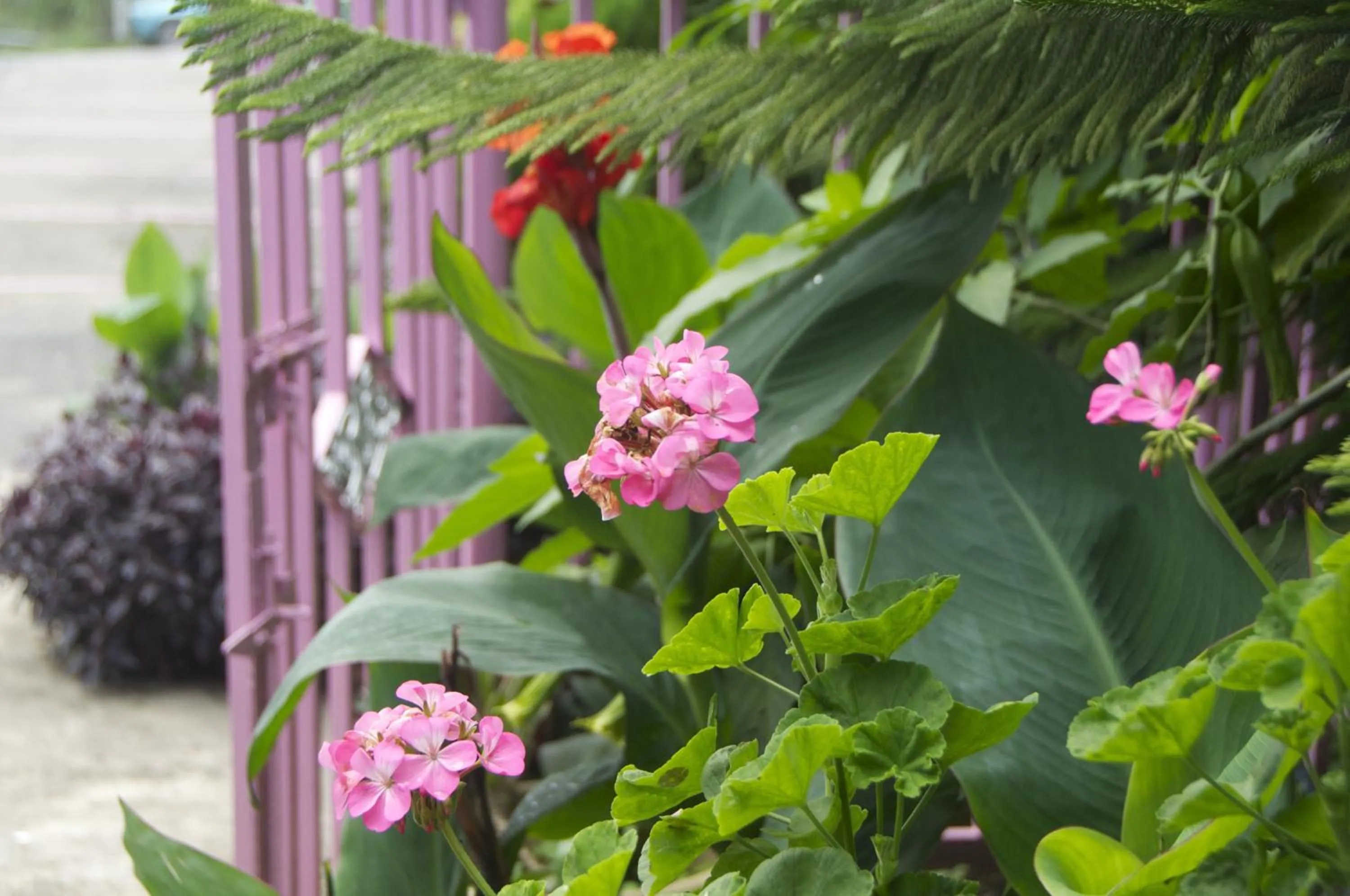 Decorative detail in Nabalu Kundasang