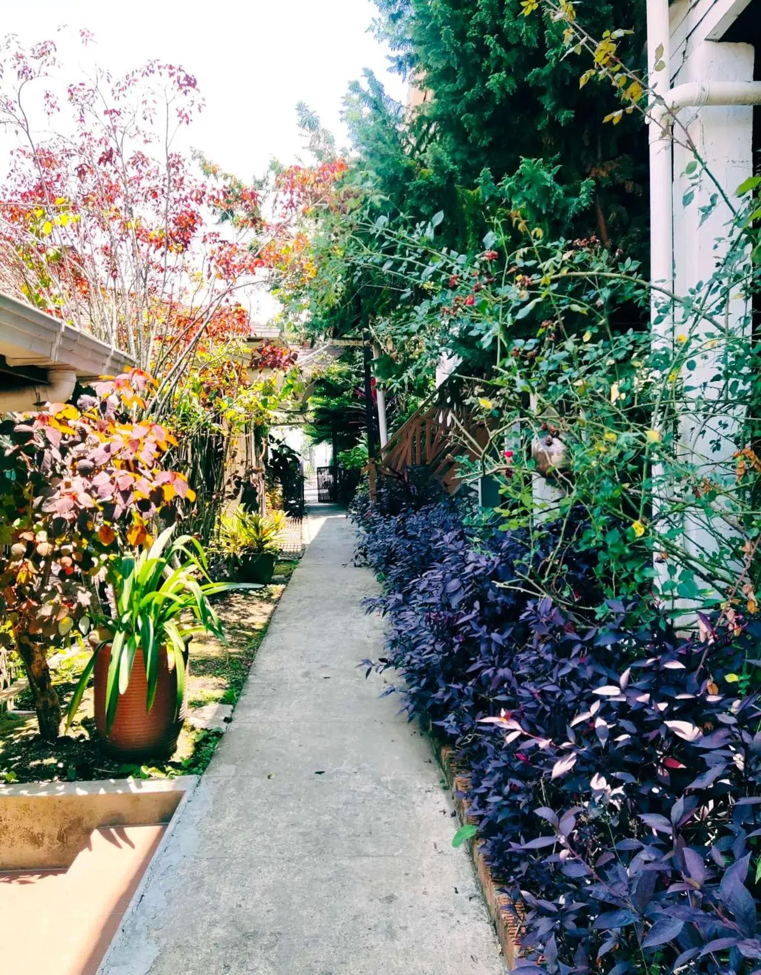 Nabalu Kundasang Nabalu Kundasang