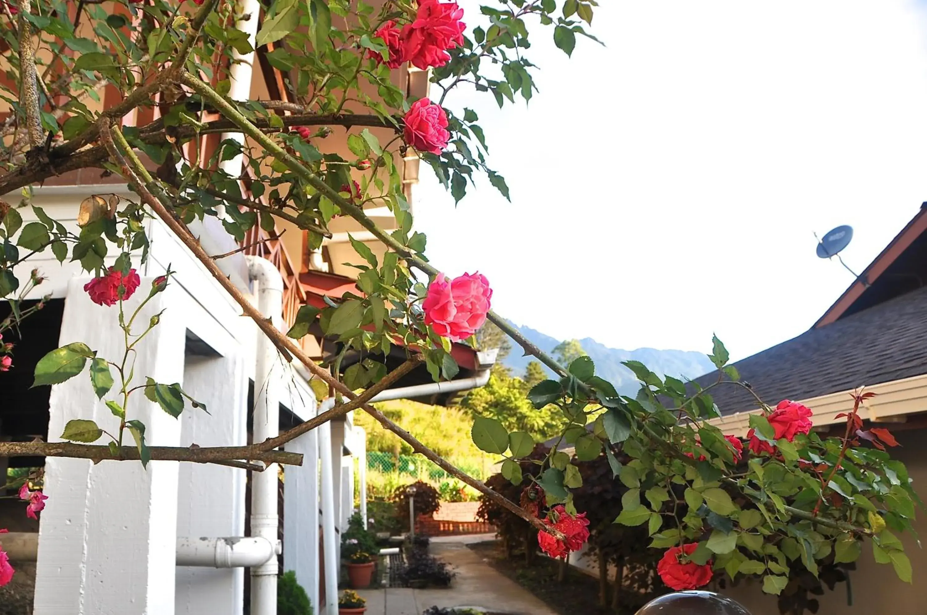 Facade/entrance in Nabalu Kundasang Facade/entrance in Nabalu Kundasang