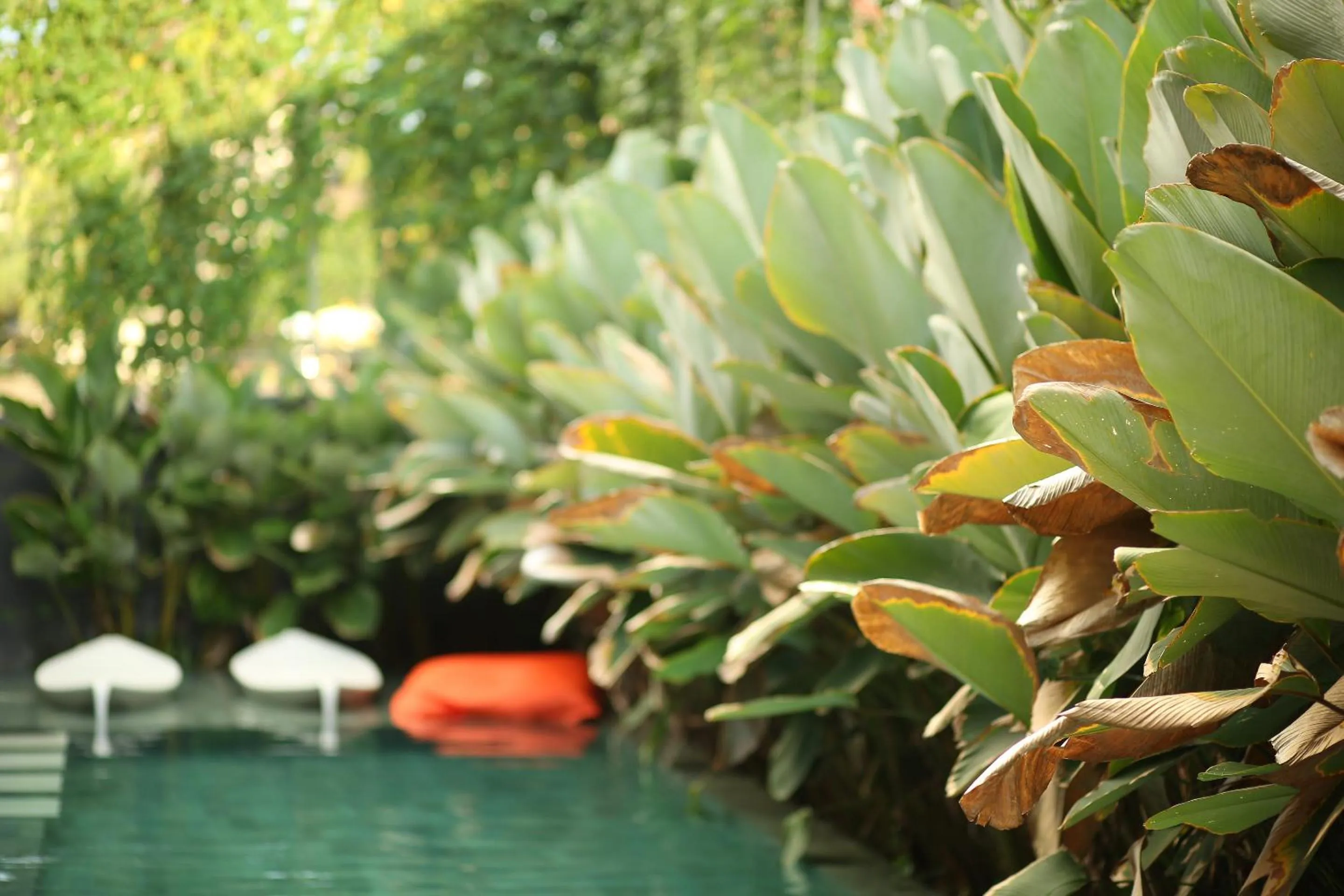 Swimming pool in M Boutique Hostel
