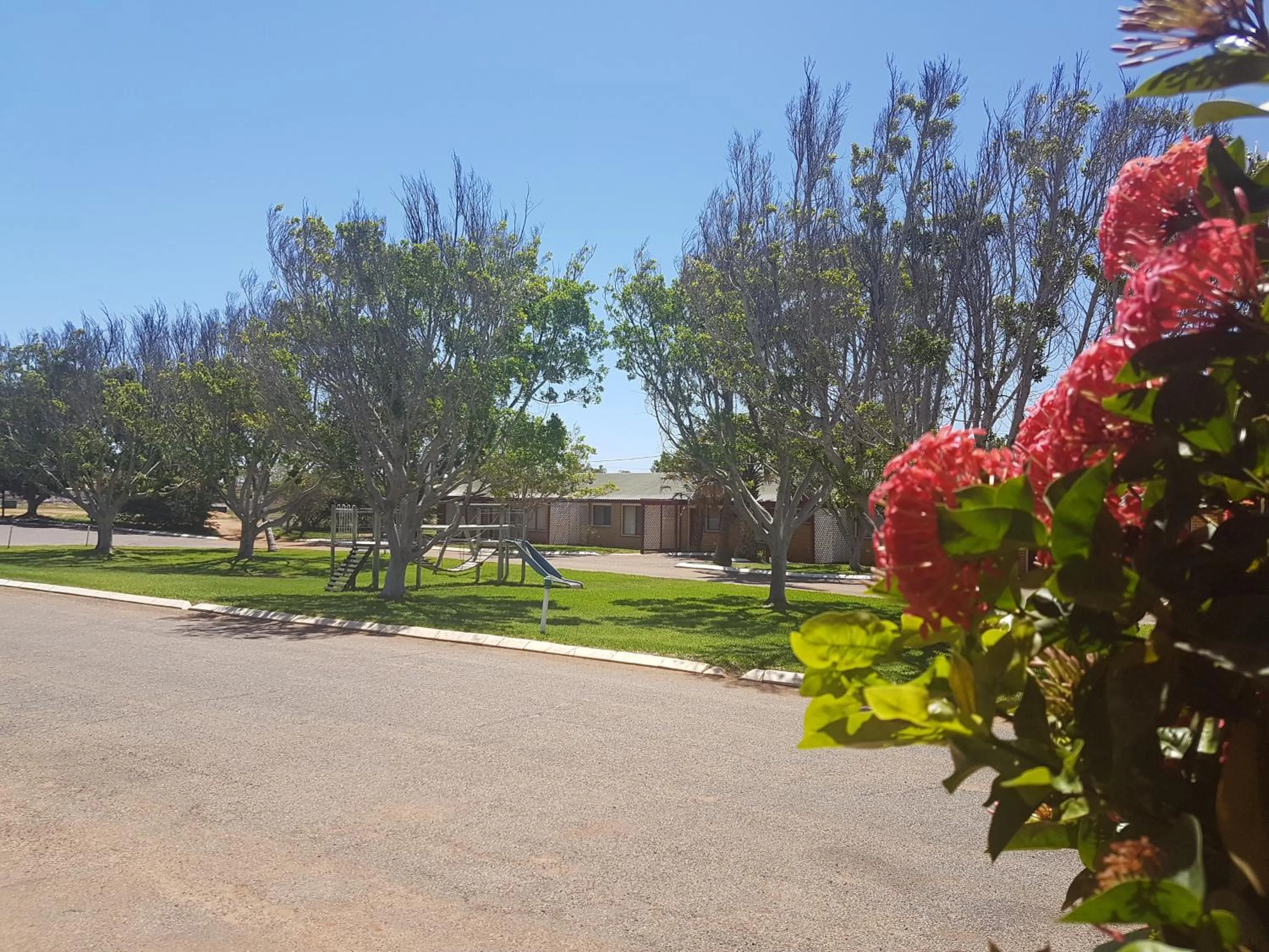 Garden in Carnarvon Gateway Motel