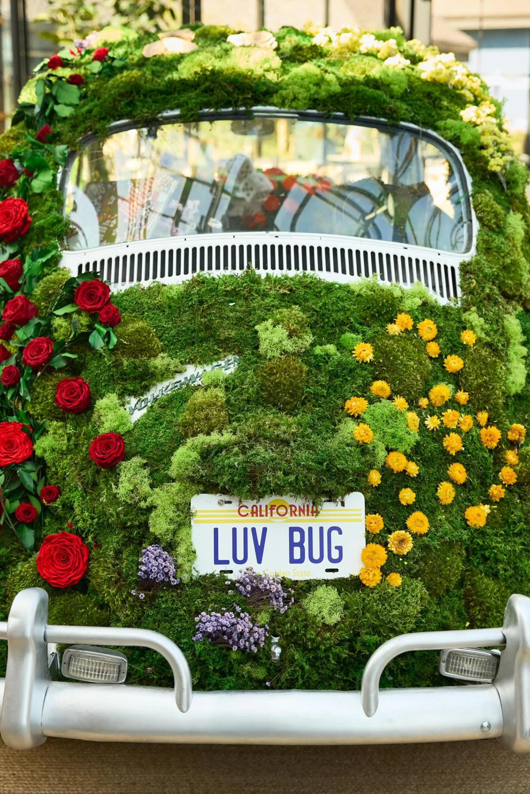 Lobby or reception in Treehouse Hotel Silicon Valley