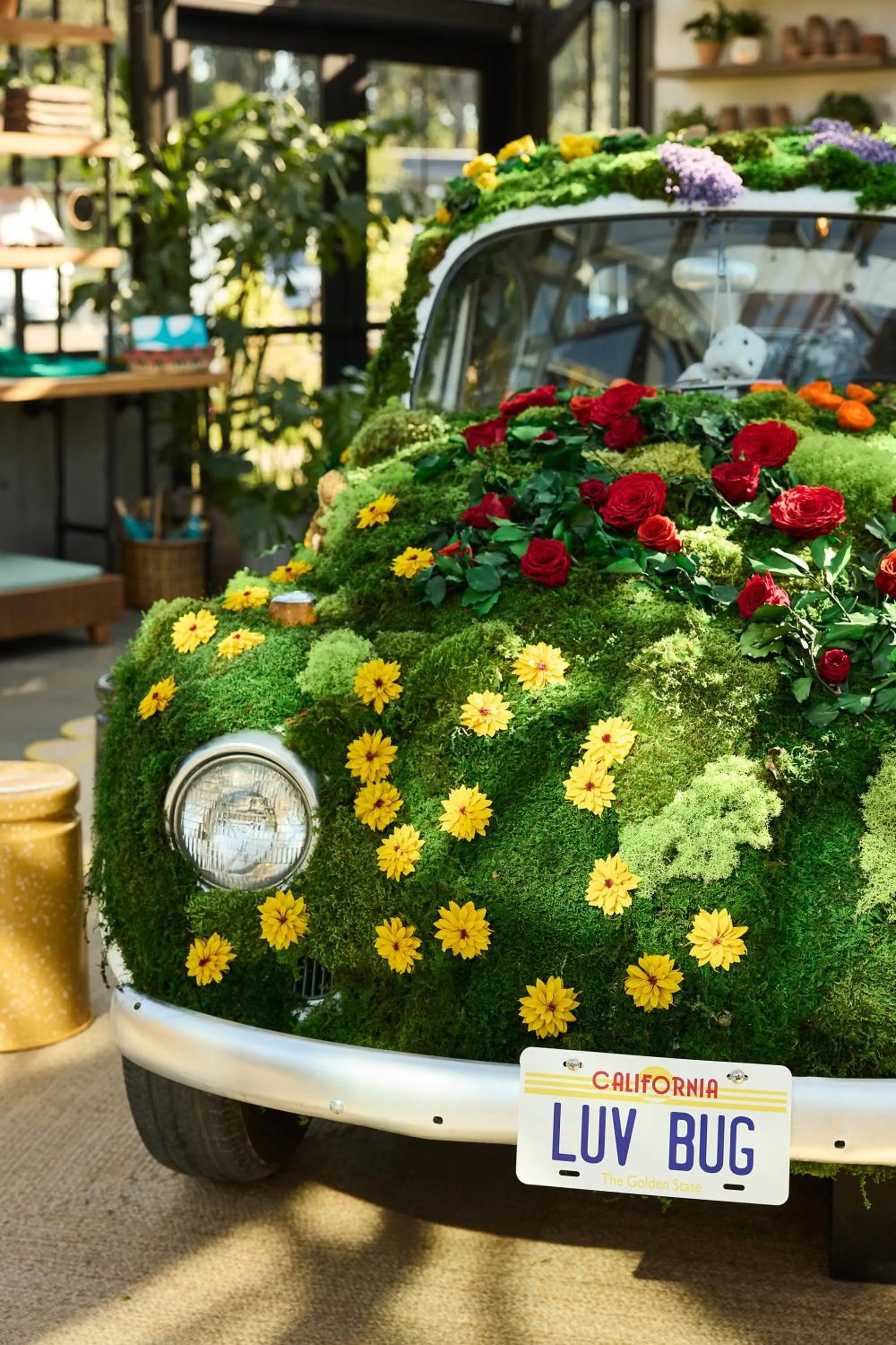 Lobby or reception in Treehouse Hotel Silicon Valley