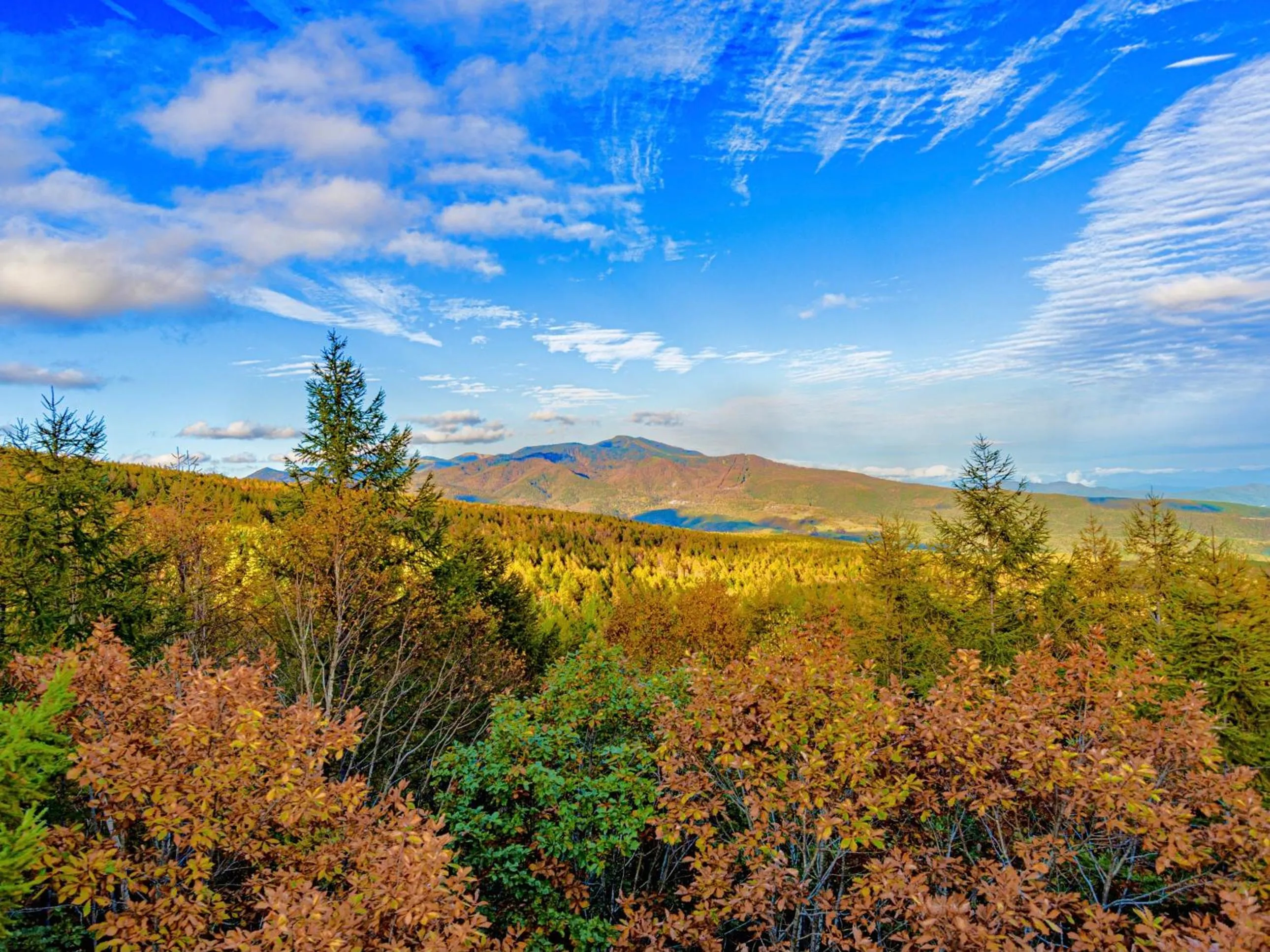 Natural landscape in Palcall Tsumagoi Resort Ski & Hotel