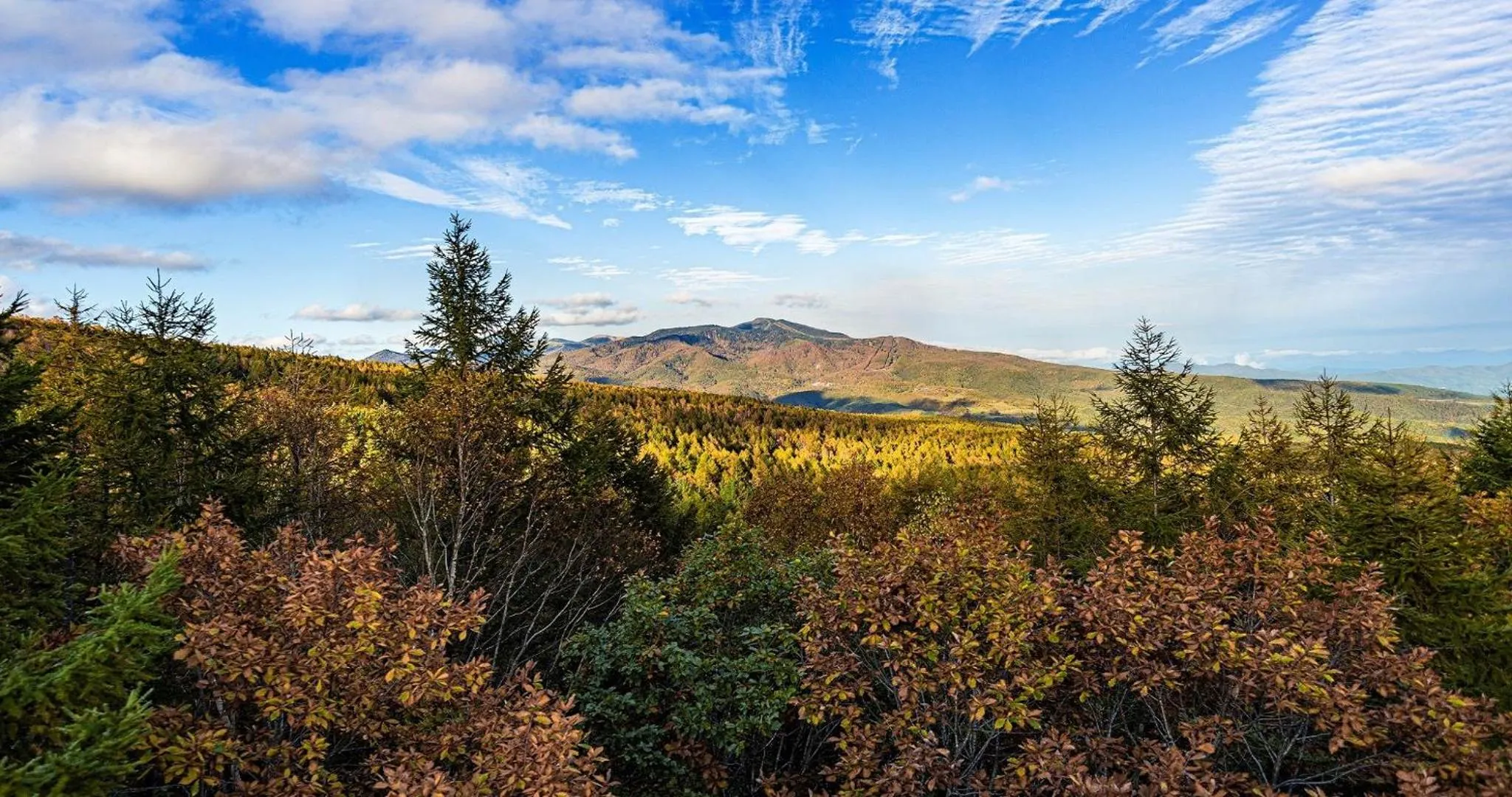 Natural landscape in Palcall Tsumagoi Resort Ski & Hotel