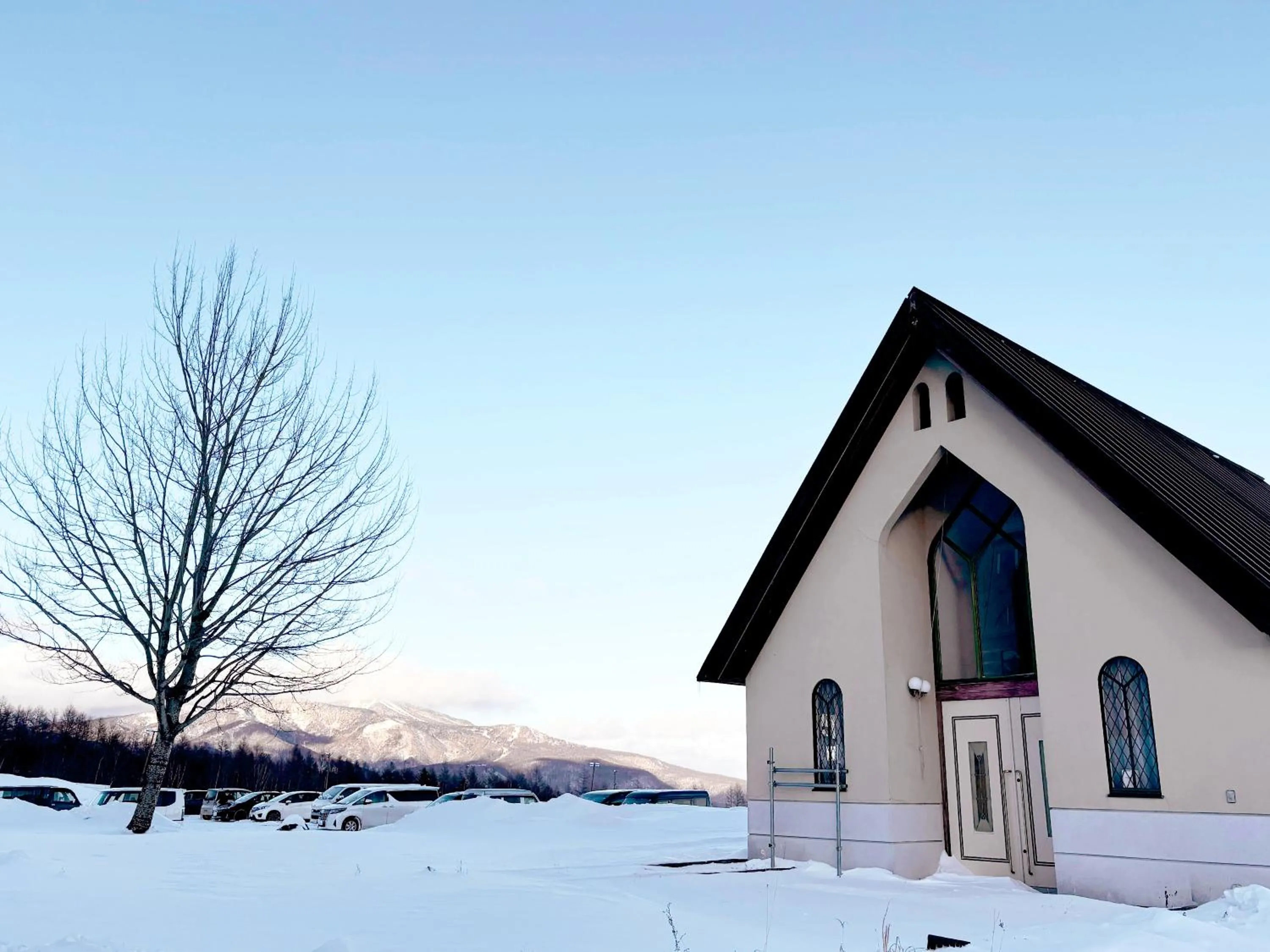 View (from property/room) in Palcall Tsumagoi Resort Ski & Hotel