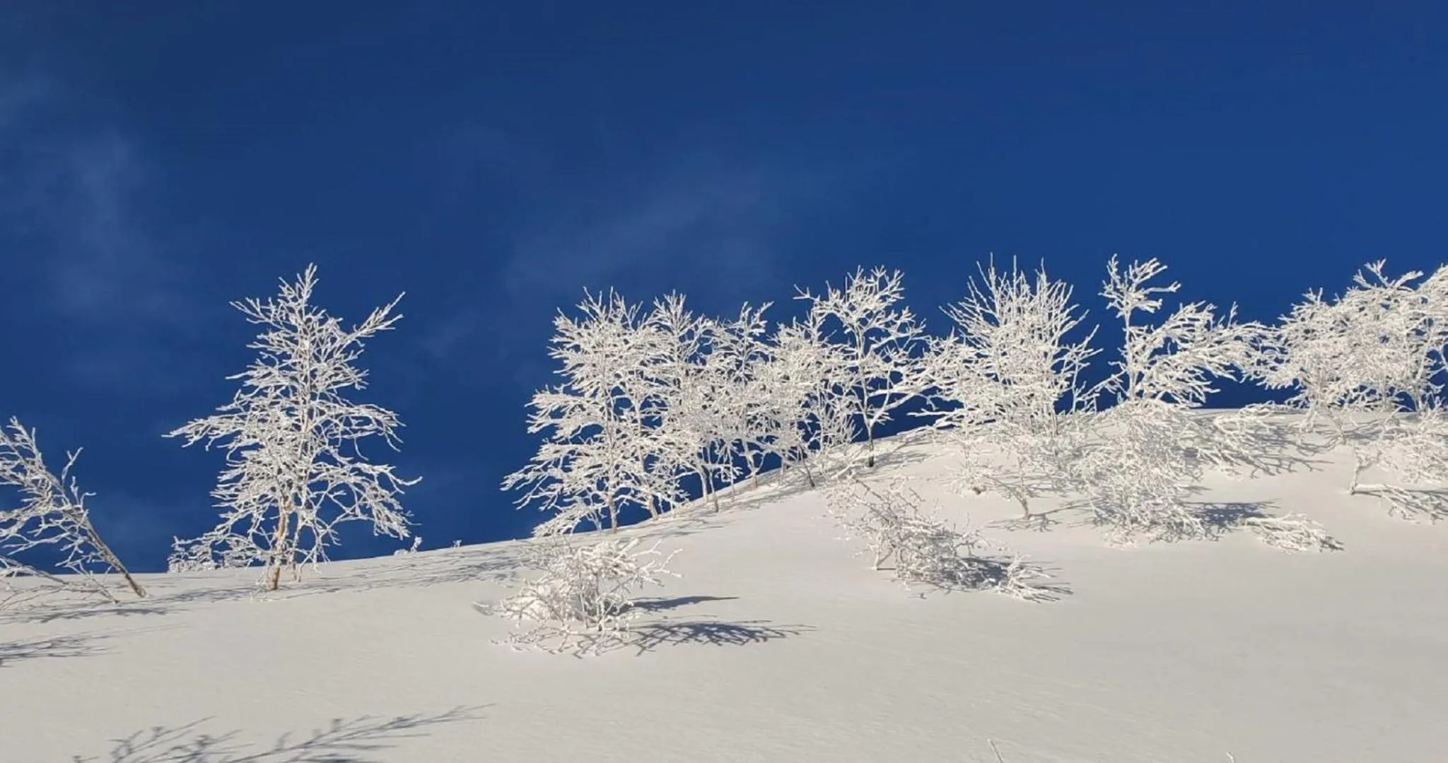 Natural landscape in Palcall Tsumagoi Resort Ski & Hotel