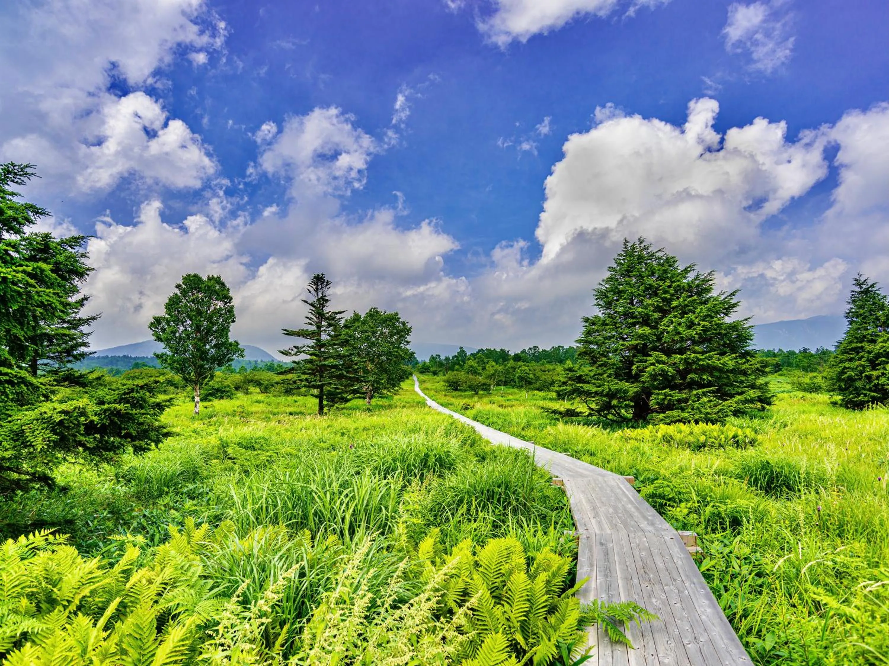 Natural landscape in Palcall Tsumagoi Resort Ski & Hotel