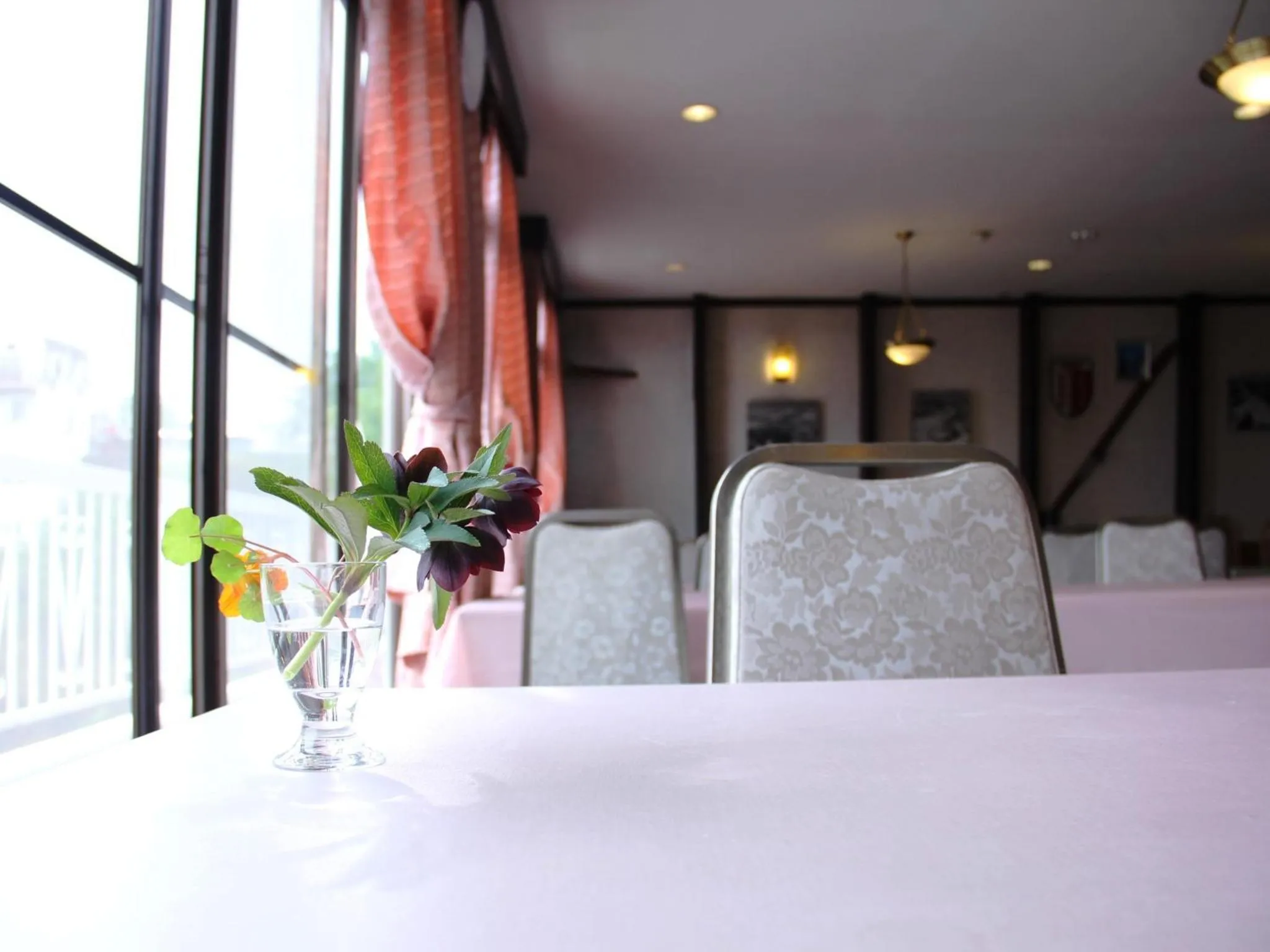 Restaurant/places to eat in Marchen House Madarao